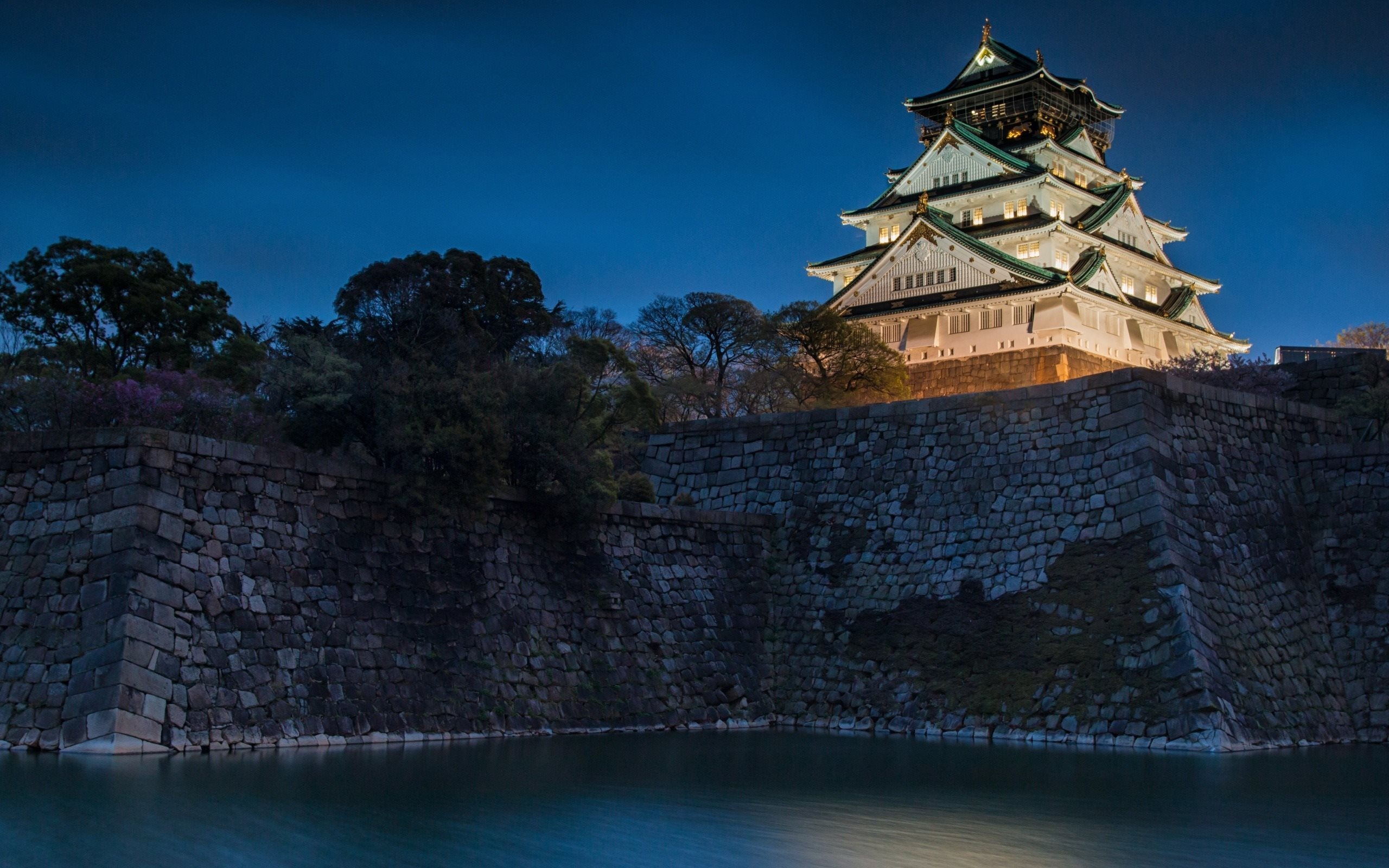 Osaka Castle, Travels, Old castle, Night view, 2560x1600 HD Desktop