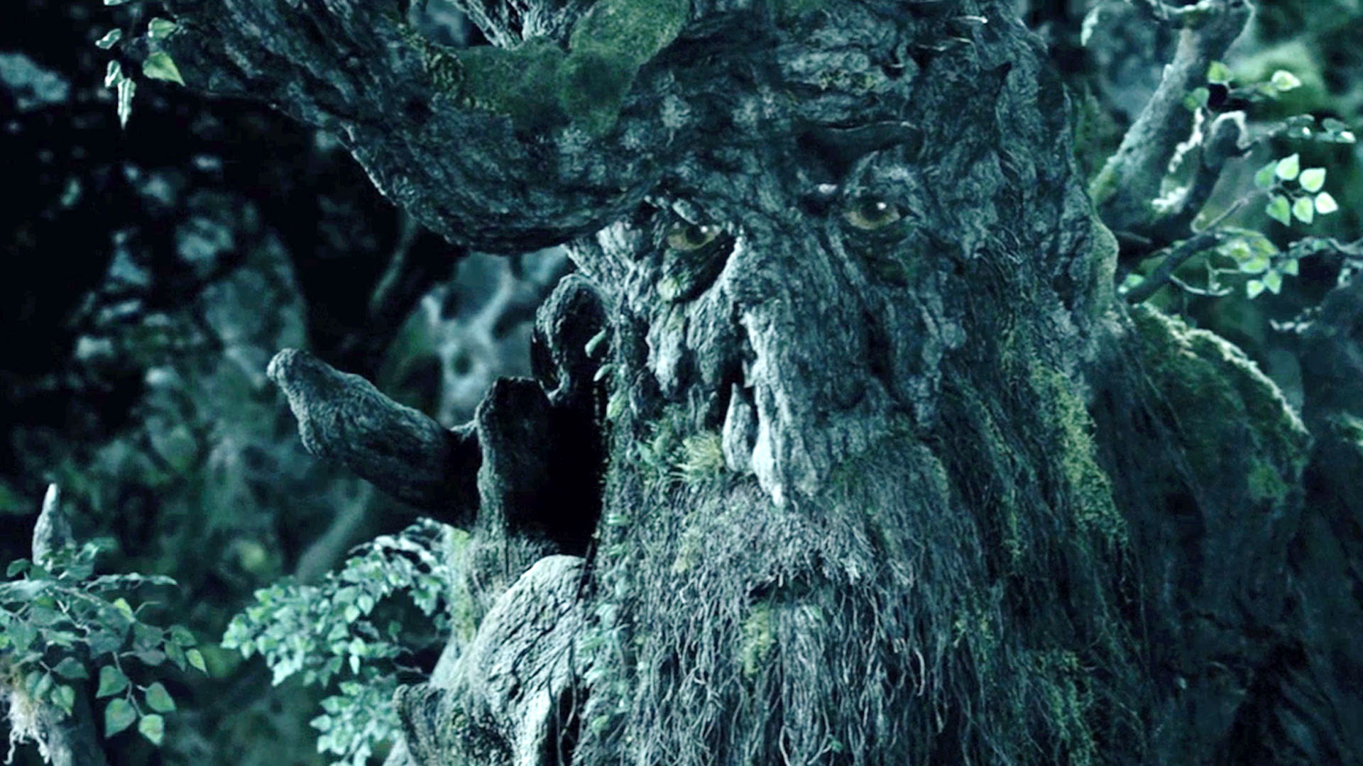 Treebeard: Voiced by John Rhys-Davies in Peter Jackson's films. 1920x1080 Full HD Wallpaper.