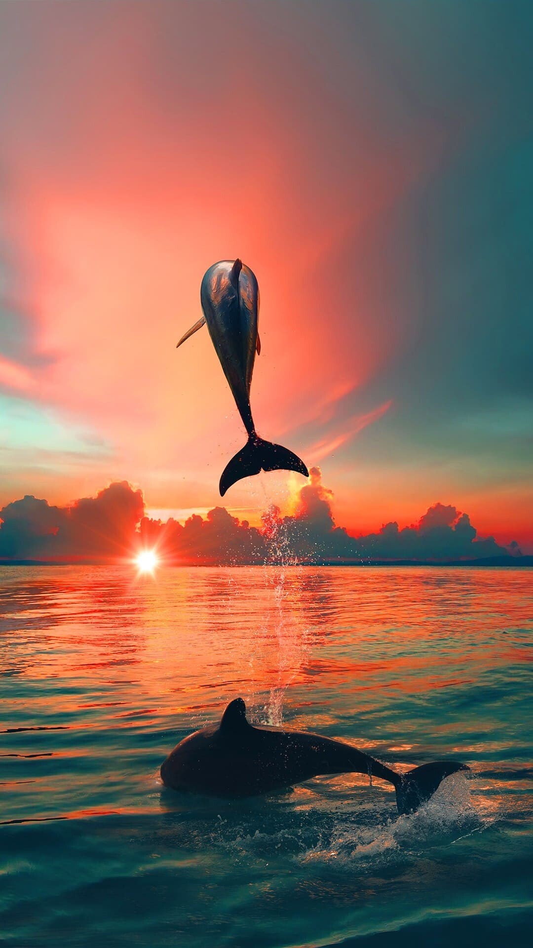 Dolphin: Dolphins can live in either fresh or salt water. 1080x1920 Full HD Wallpaper.