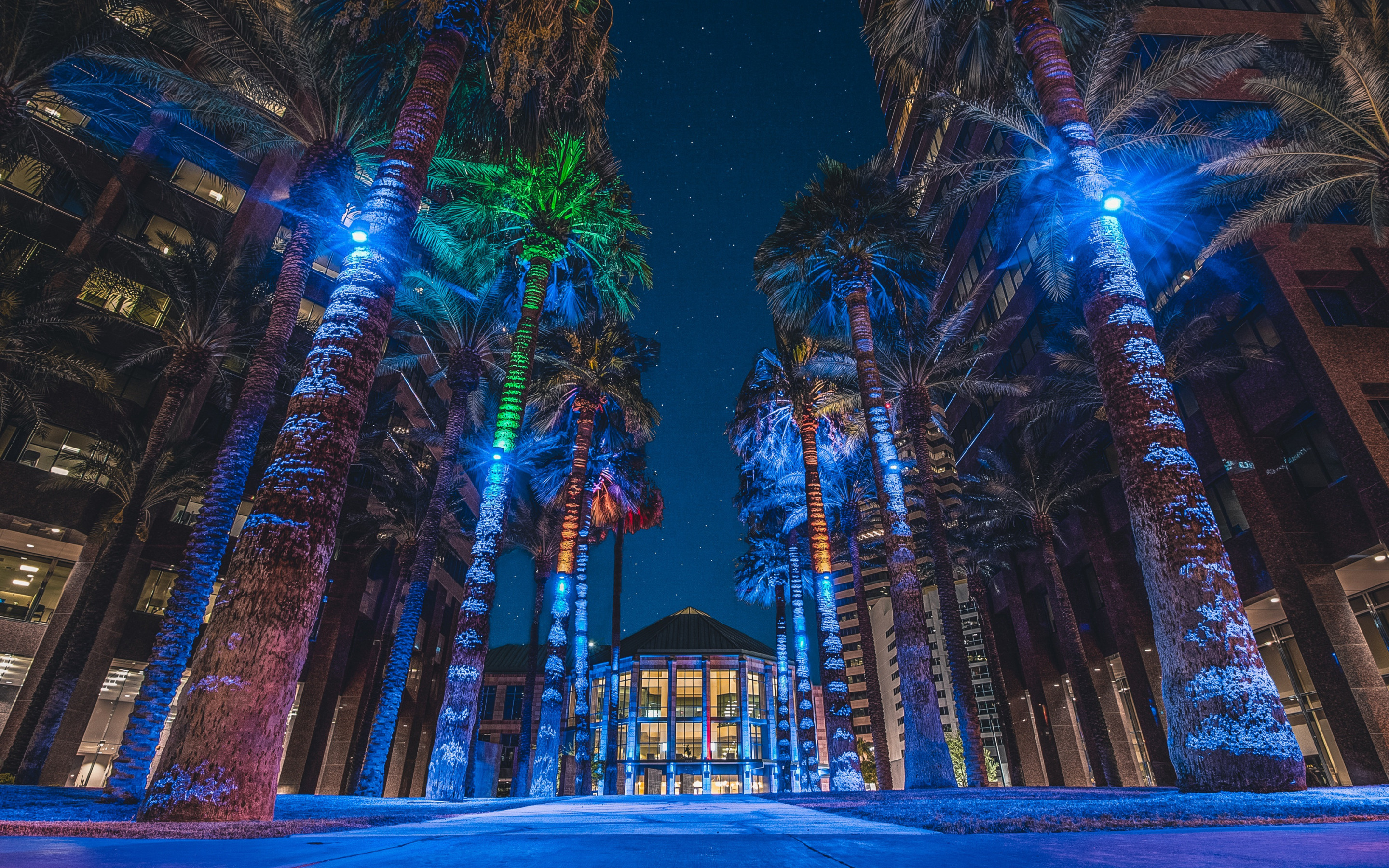 Phoenix Arizona Travels, Night palm trees, Midtown Phoenix, Arizona USA, 2880x1800 HD Desktop