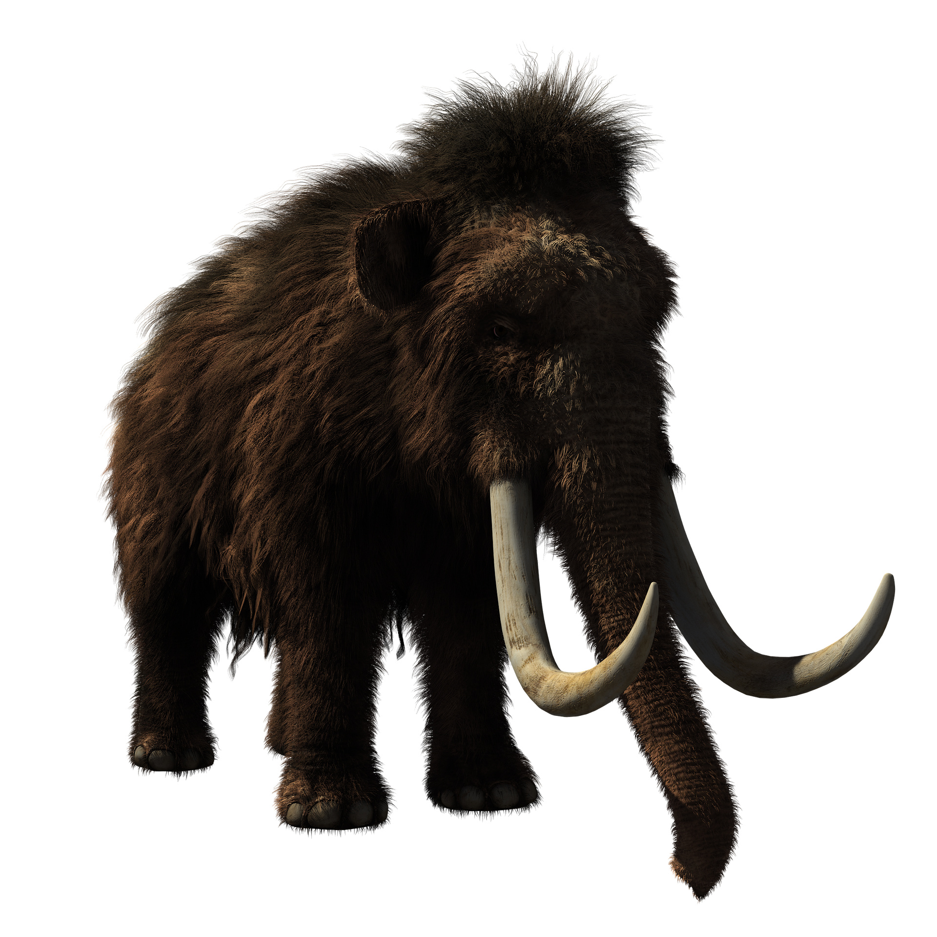 Woolly mammoth, Prehistoric wildlife, 3D woolly mammoth, Snipstock, 1920x1920 HD Phone