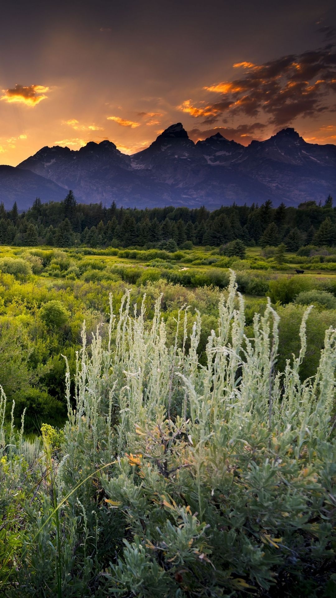 Sunset landscape, Beautiful landscape, Sony Xperia Z1, 1080x1920 Full HD Phone