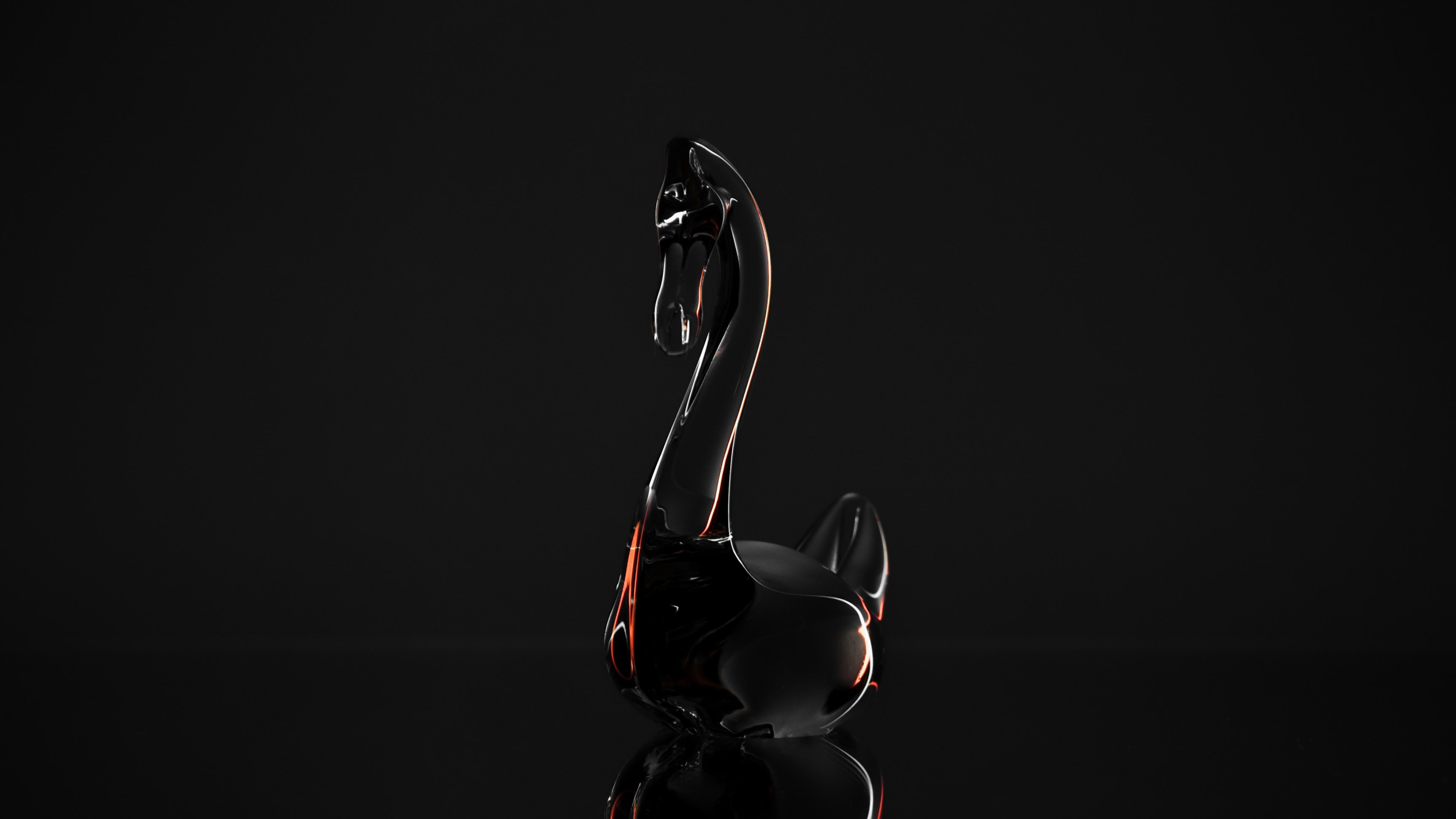 Black Swan (Bird): Glass, Native to Australia, Waterbird. 3840x2160 4K Wallpaper.