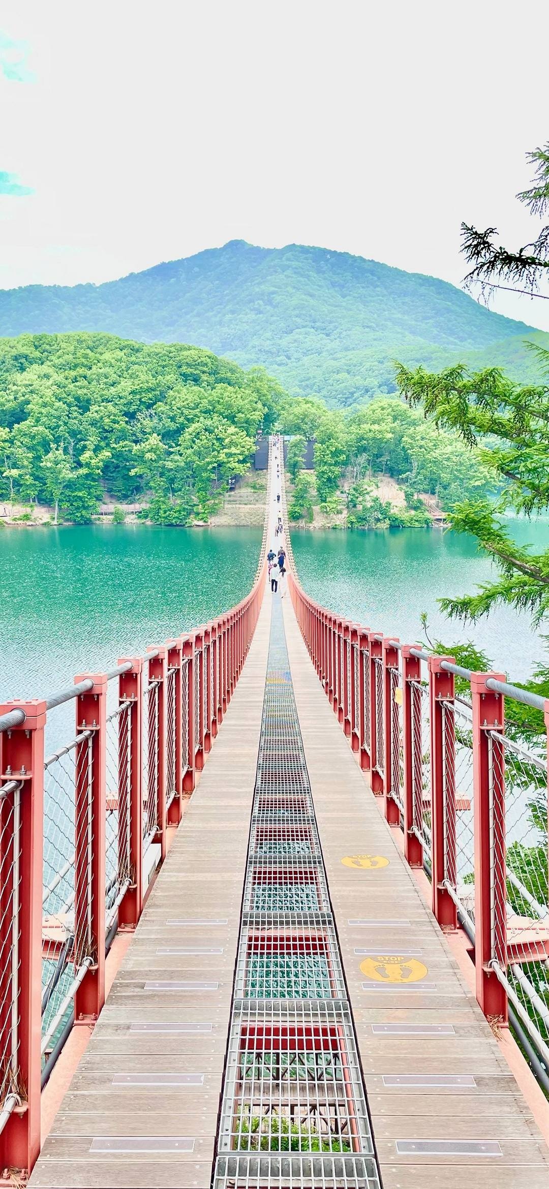 Bridge: A walkway chain suspension span in South Korea, A popular place for tourists. 1080x2340 HD Wallpaper.