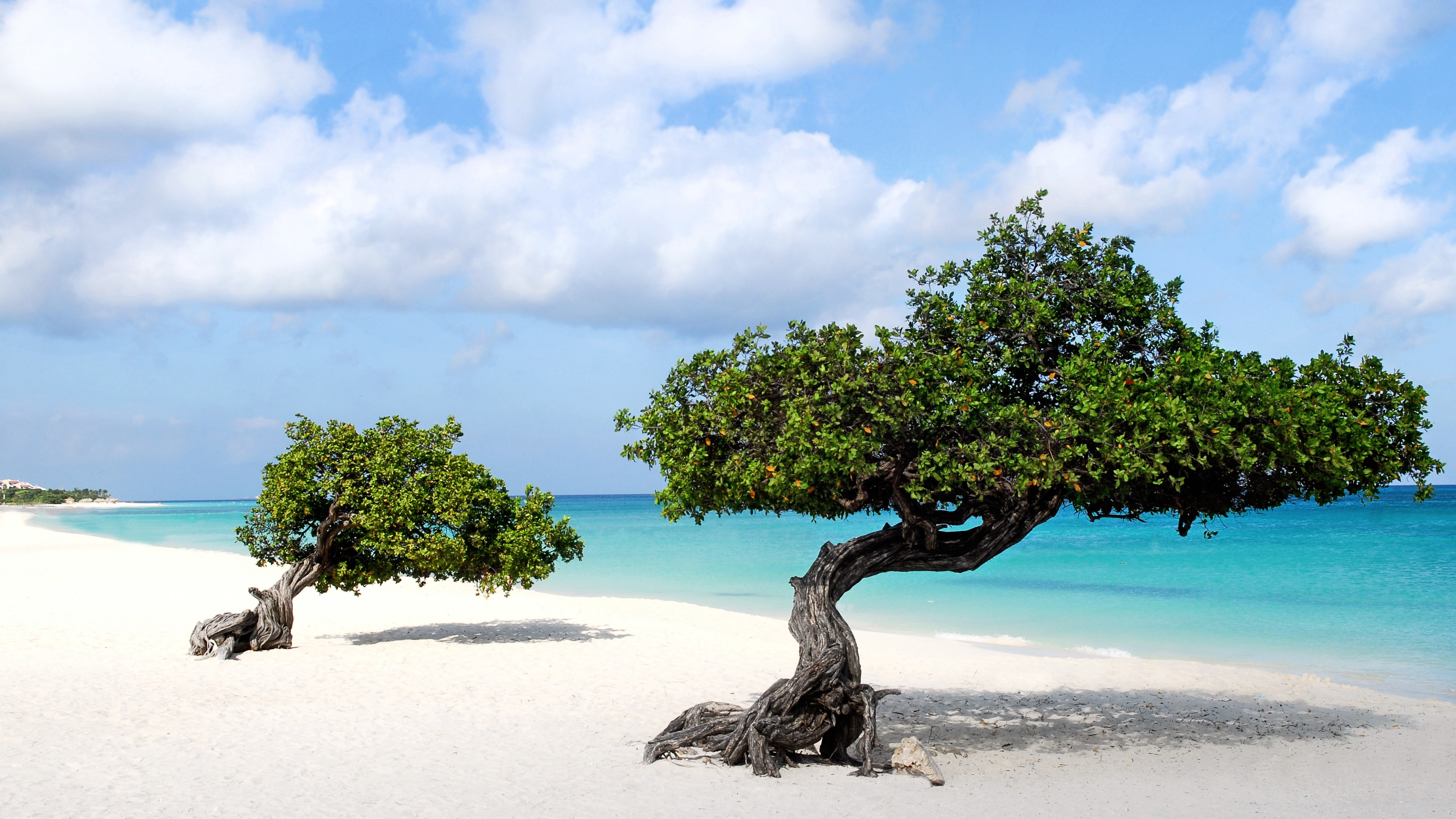 Aruba Island, Travels, Vacation rentals, Caya Luna, 3560x2000 HD Desktop