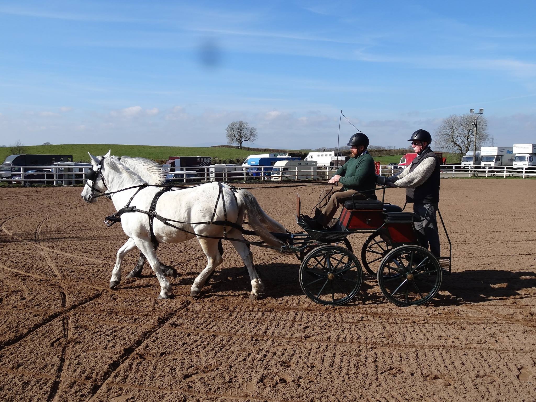 Carriage Driving sports, Ni Carriage Driving, March 2015 archives, Association, 2050x1540 HD Desktop