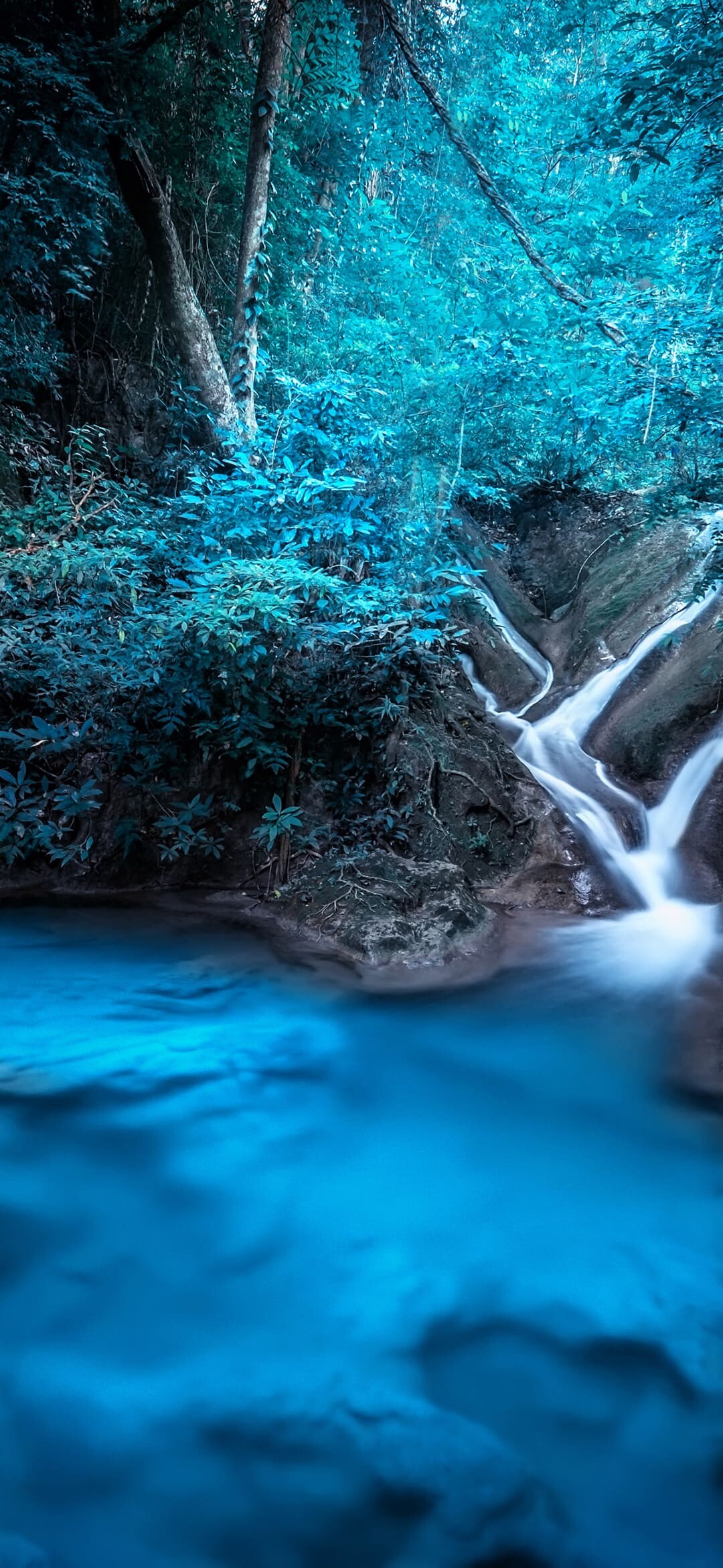 Waterfall: A natural area where a stream cascades over a high precipice. 1080x2340 HD Wallpaper.