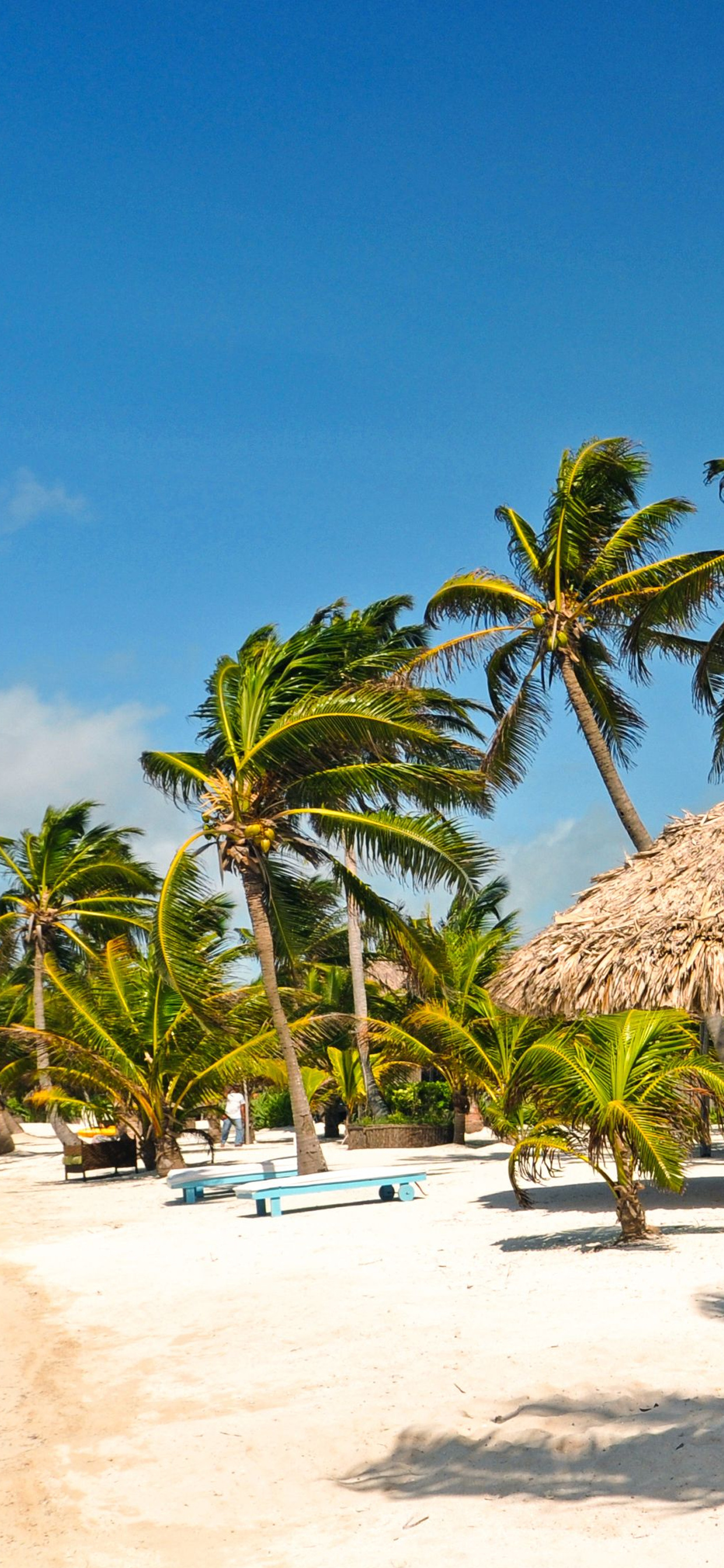 Virtual vacation, Explore Captain Morgan's Retreat, Caribbean dreams, Online getaway, 1250x2690 HD Phone