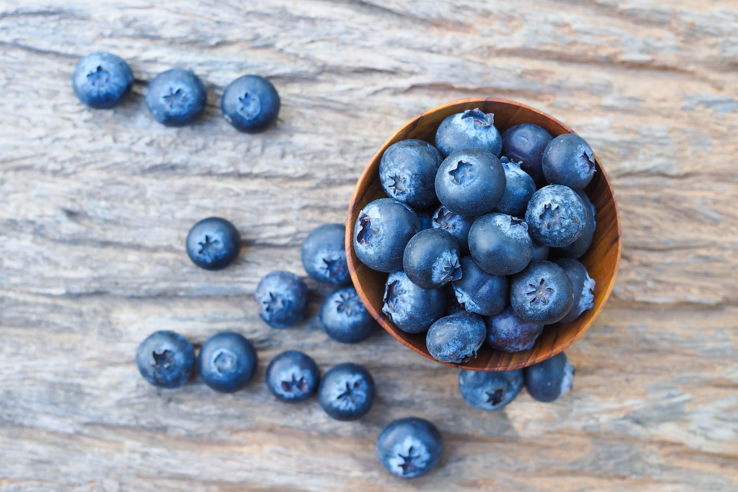 Scrumptious blueberries, Sweet and tangy, Berry feast, Fruity goodness, 2560x1710 HD Desktop
