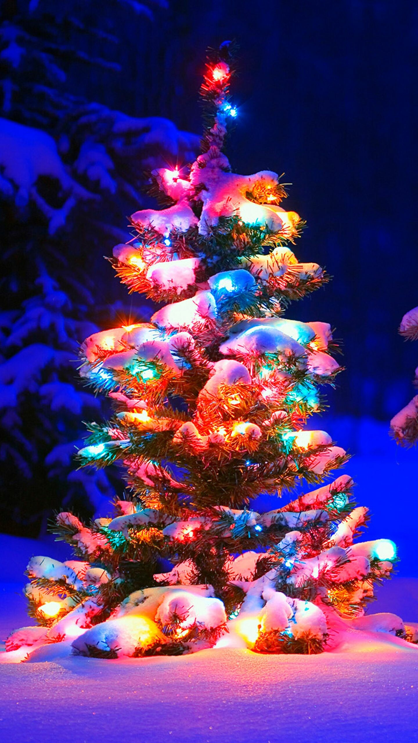 Christmas tree, Baum Wallpaper, 1440x2560 HD Handy
