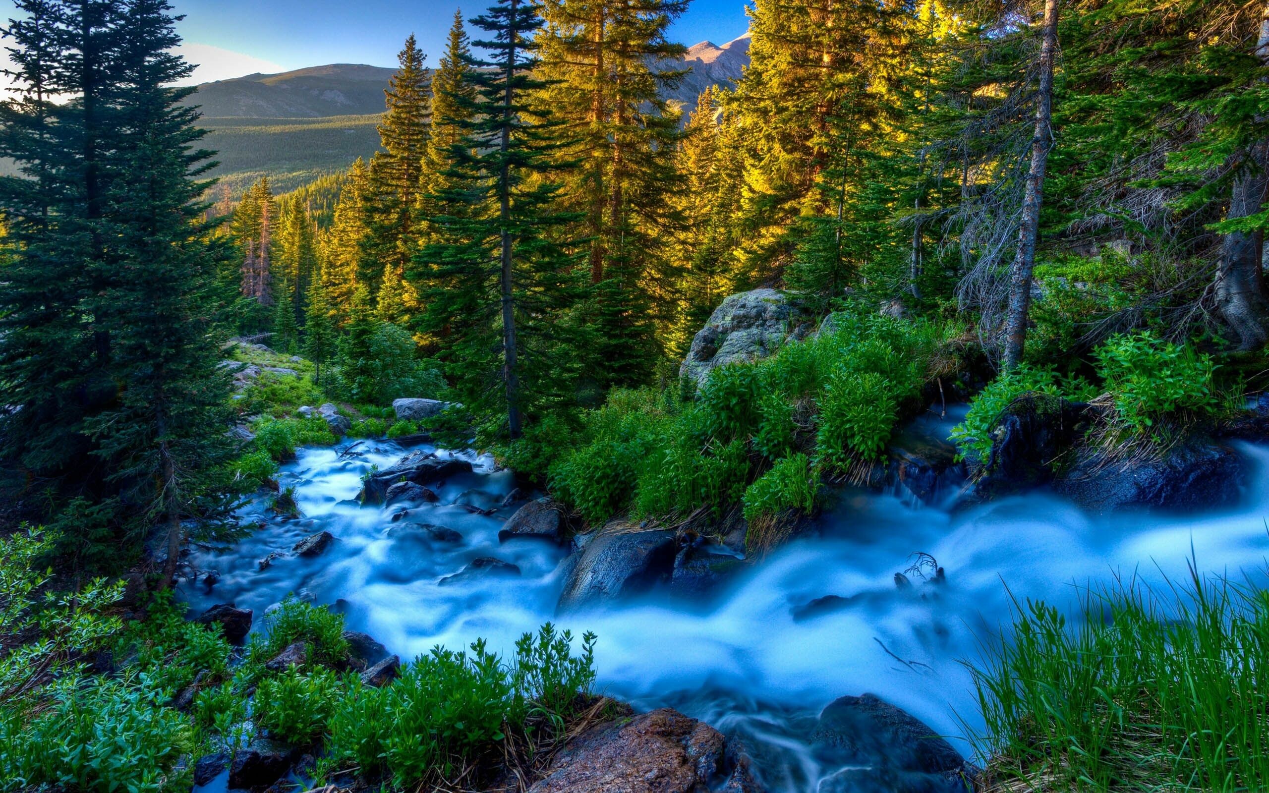 River: Mountain, A rich source of fish and other edible aquatic life and are a major source of fresh water. 2560x1600 HD Wallpaper.
