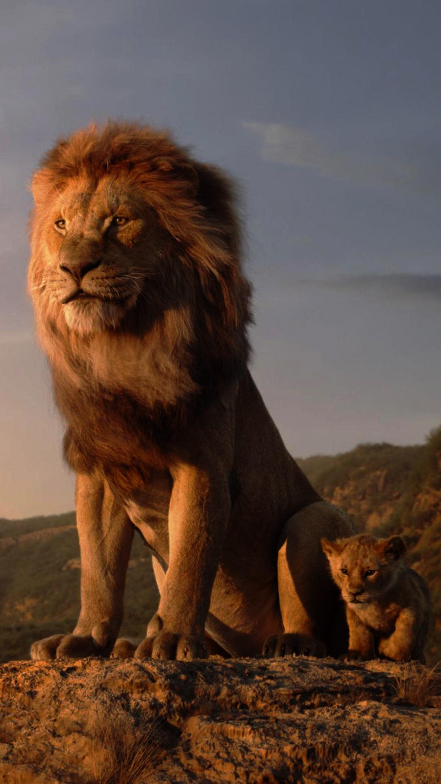 The Lion King: A pride of lions rule over the animal kingdom from Pride Rock, 2019 film. 1440x2560 HD Background.