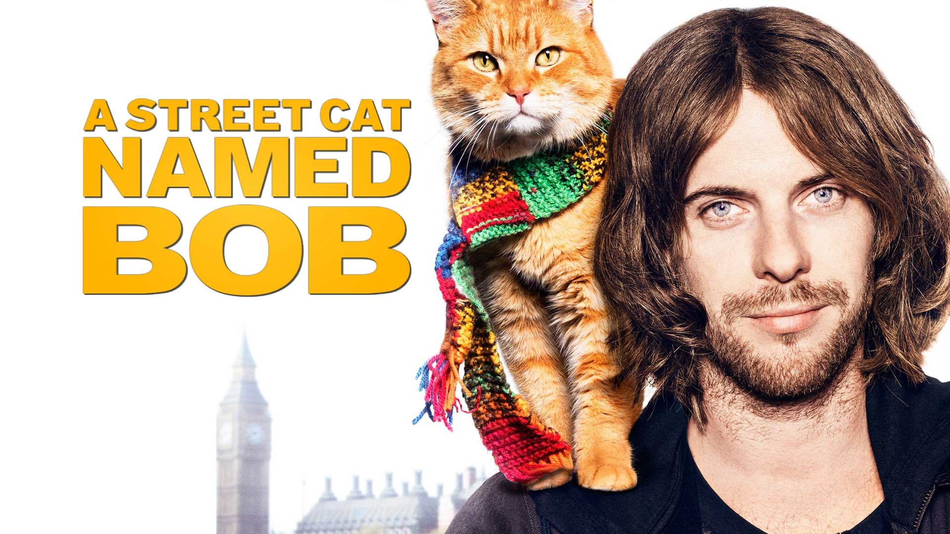 A Street Cat Named Bob, Movies, 2016, Radio Times, 1920x1080 Full HD Desktop