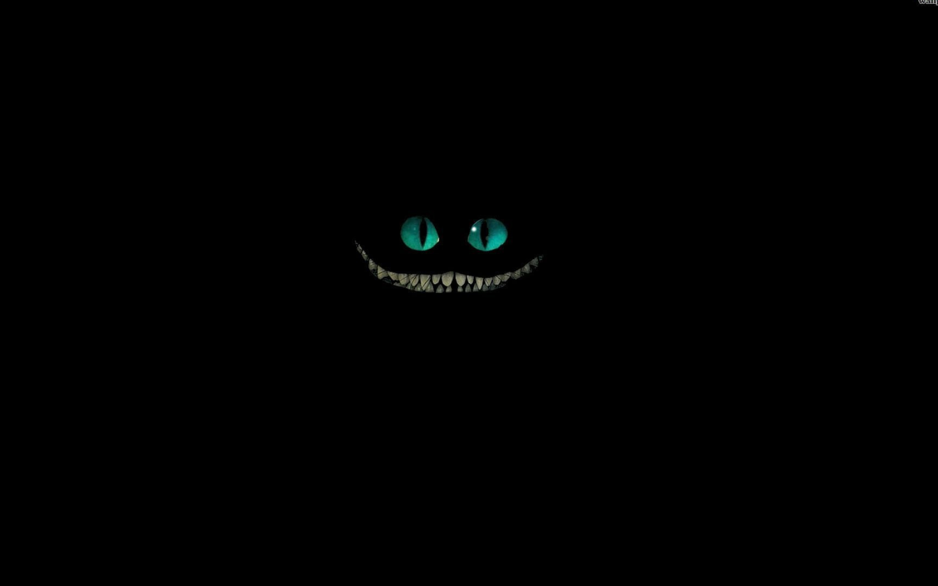 Cheshire Cat: Carroll’s novel, Domesticated member of the family Felidae. 1920x1200 HD Background.