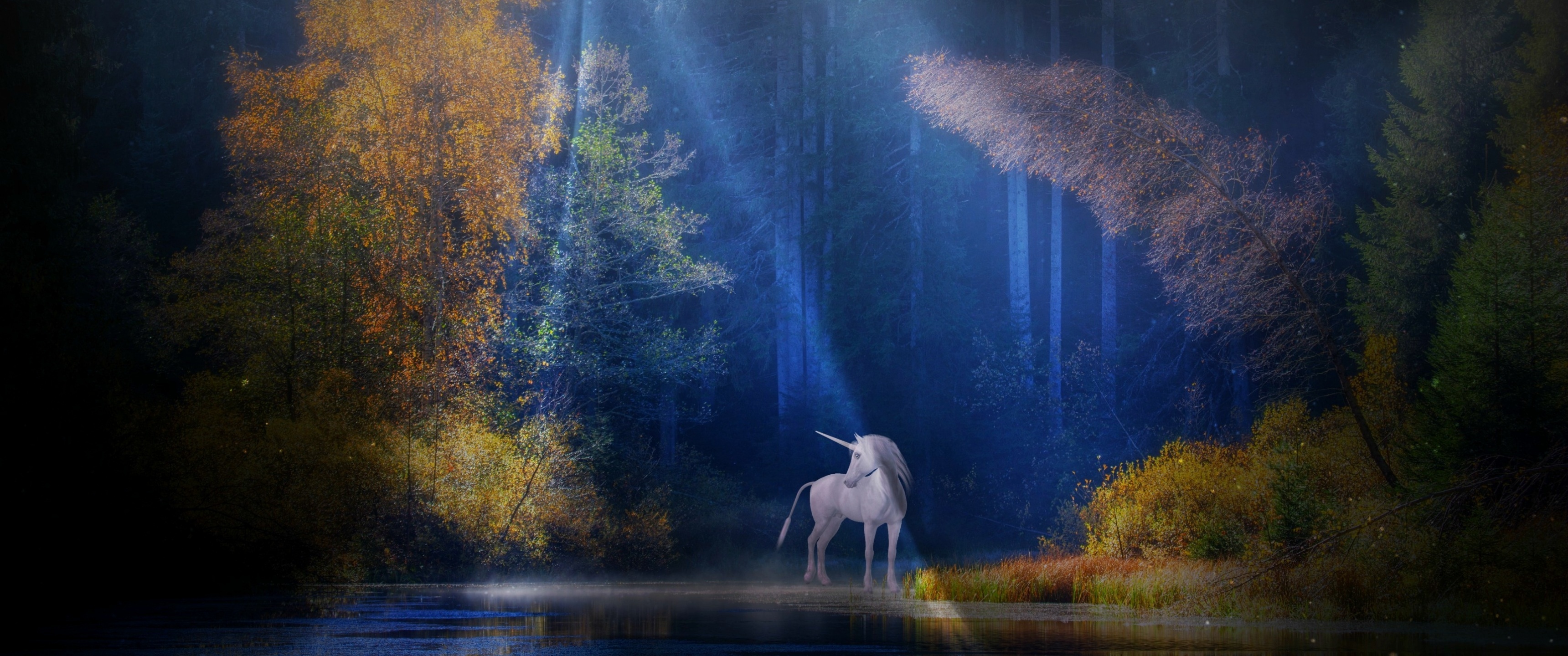 Unicorn wallpaper, Fairy tale mythical, Light beam forest, Woods fantasy, 3440x1440 Dual Screen Desktop