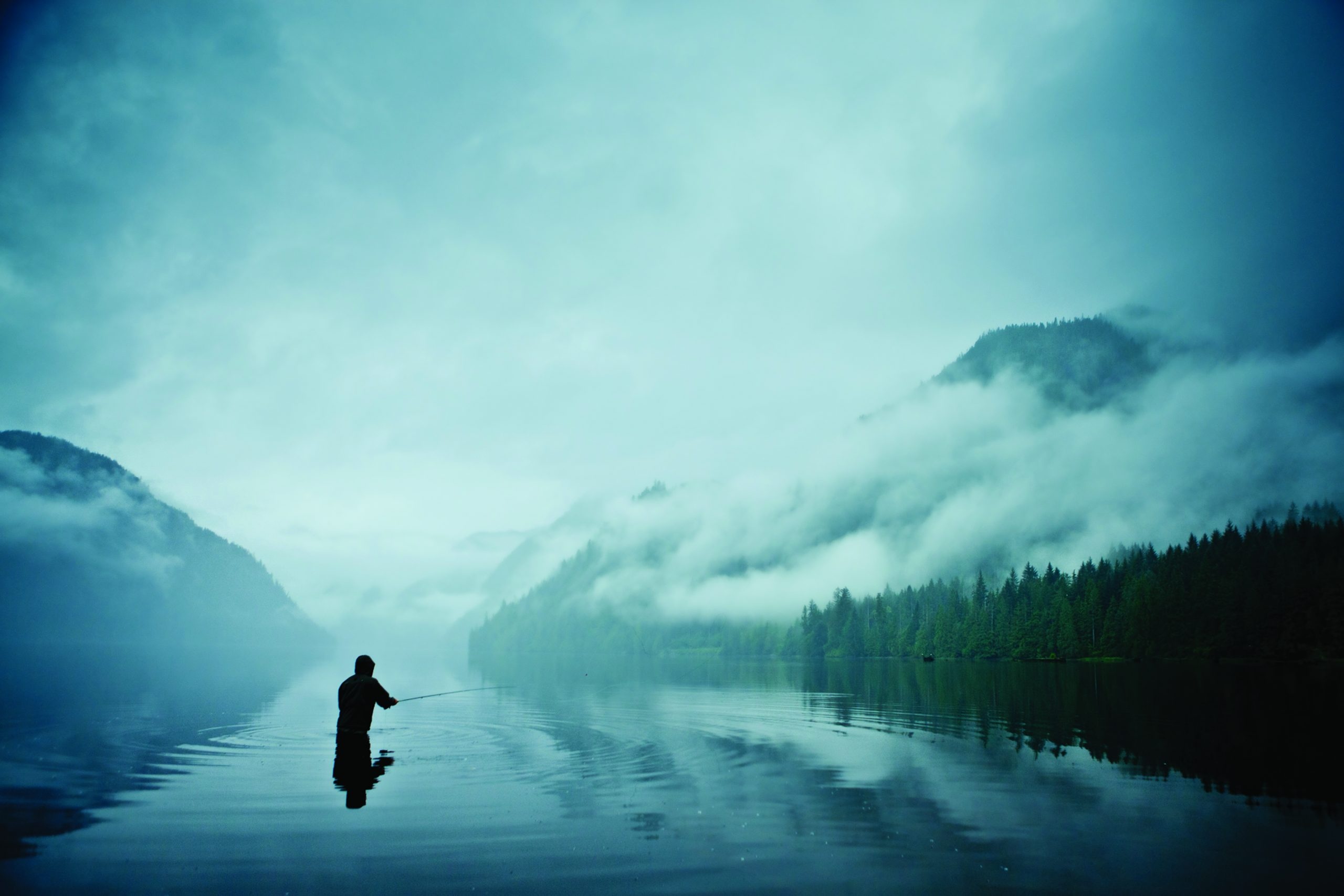 Great Bear Lake, Finding Zen, Rainforest, Magnifissance, 2560x1710 HD Desktop