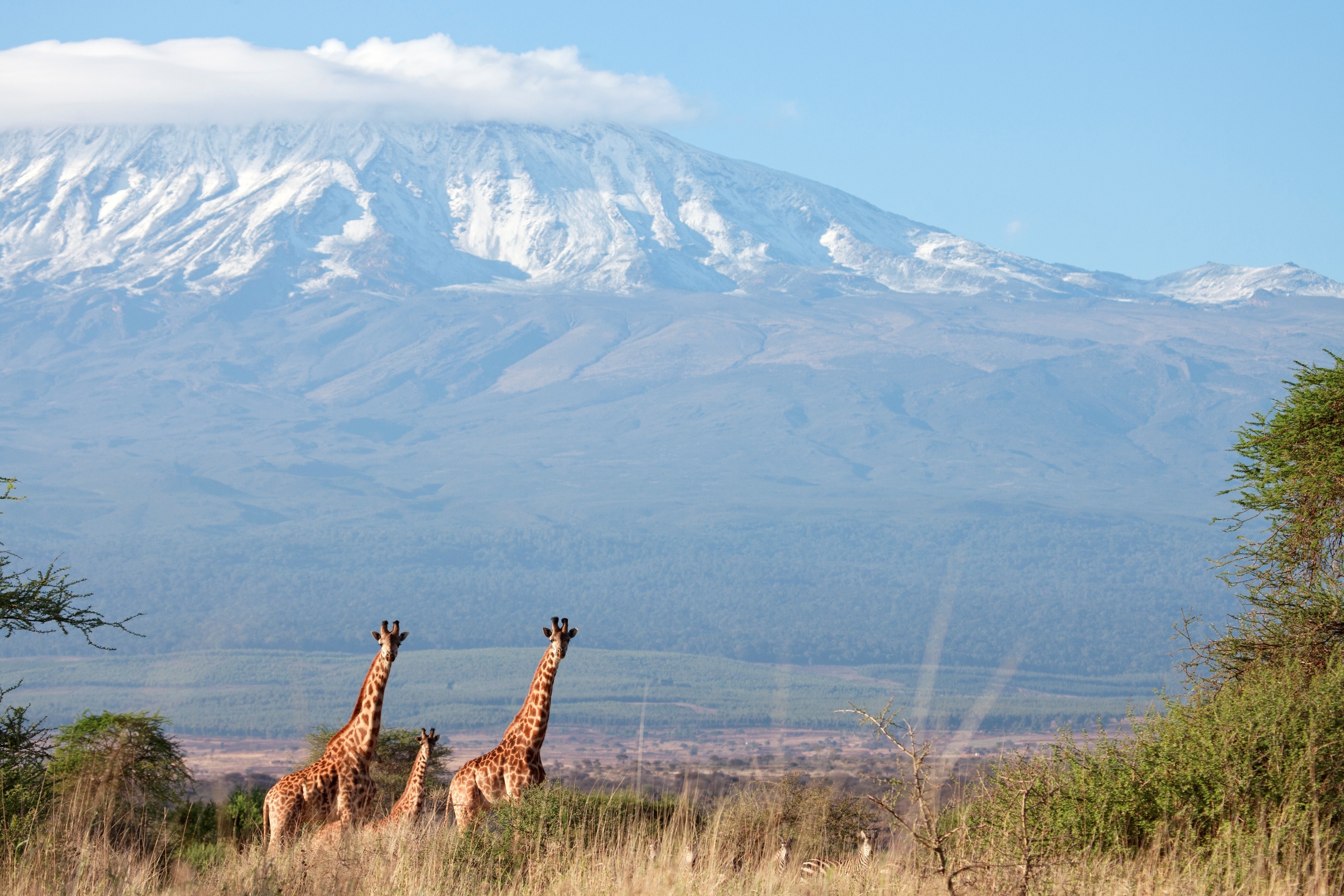 Kilimanjaro, Travels, Tourist attraction, Adventure tours, 2740x1830 HD Desktop