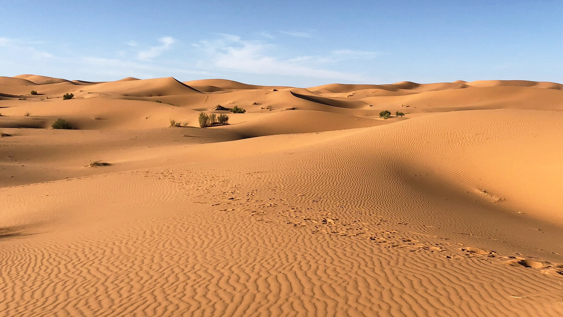 Desert: One thing all deserts have in common is that they are arid, or dry. 1920x1080 Full HD Background.