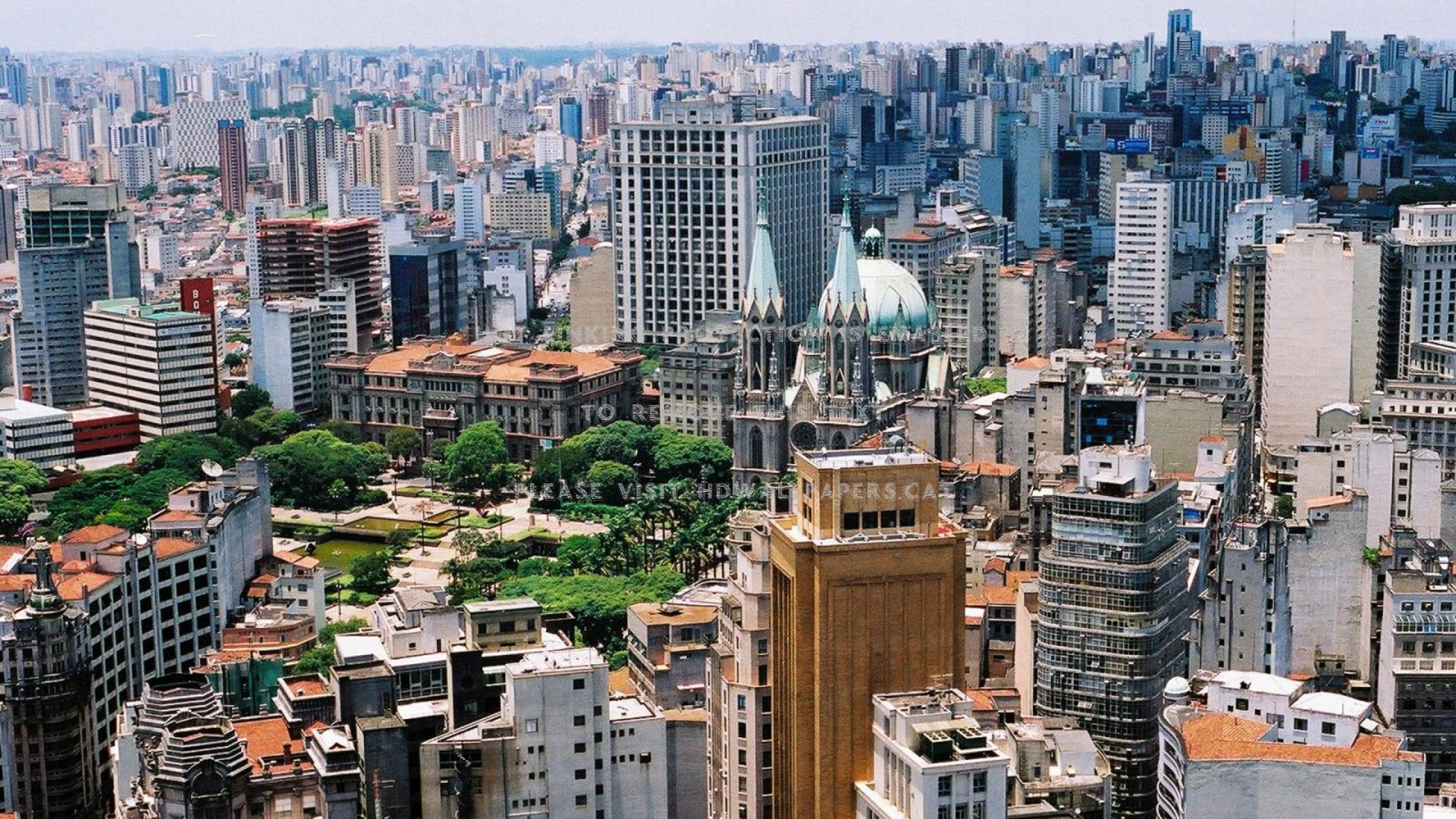 Features cities. Сан-Пауло город Бразилия. Мегаполис Сан Паулу. Штат Сан Паулу Бразилия. Город Сан Паоло.