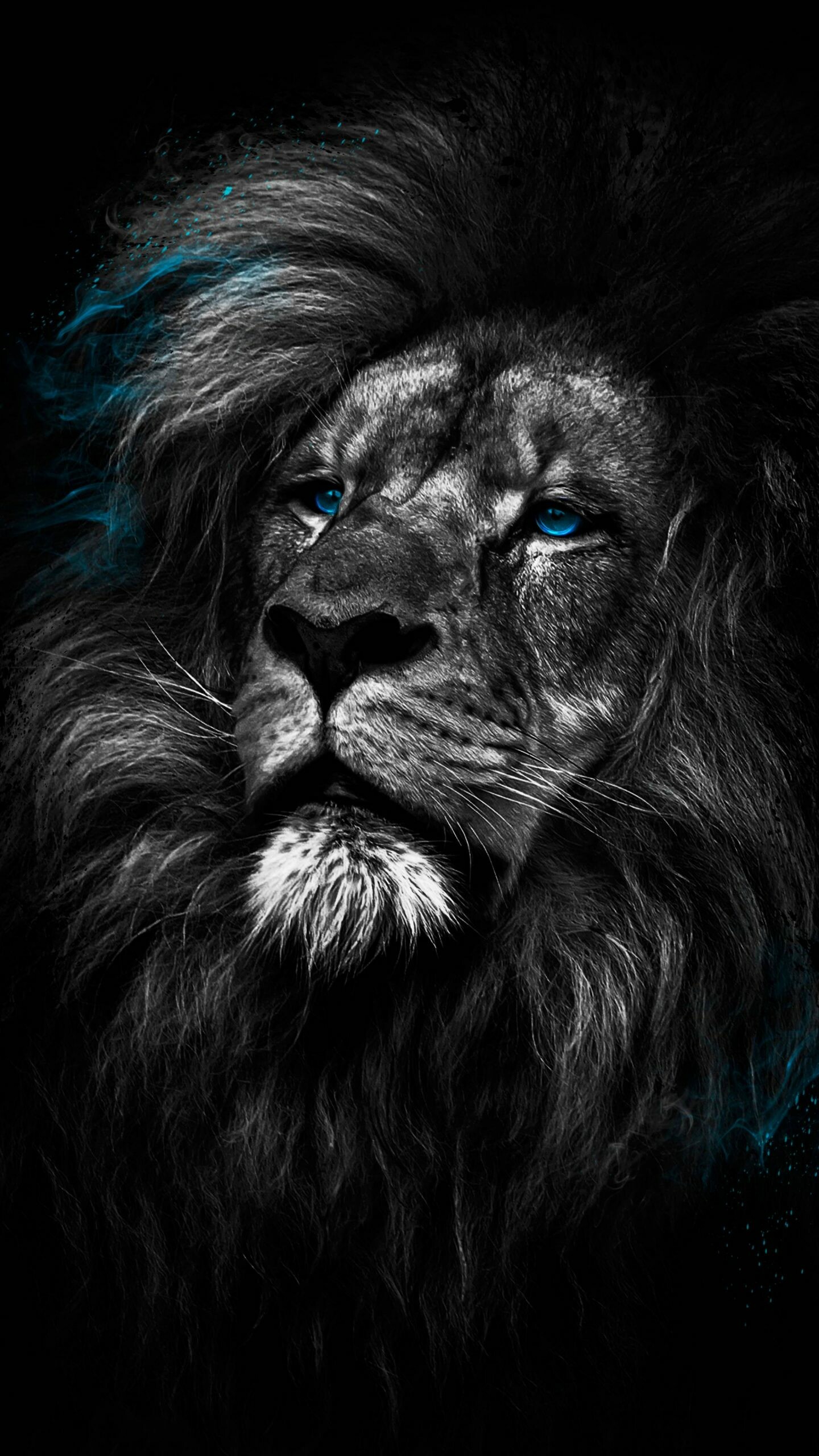 Lion: One of the most widely recognized animal symbols in human culture, Carnivore. 1440x2560 HD Background.