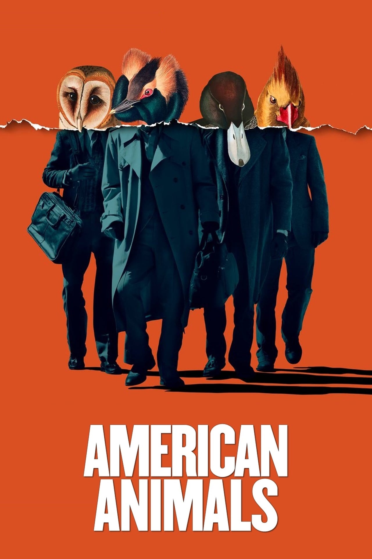 American Animals movie, Movie posters, Moviescorecent, Movie review, 1280x1920 HD Phone