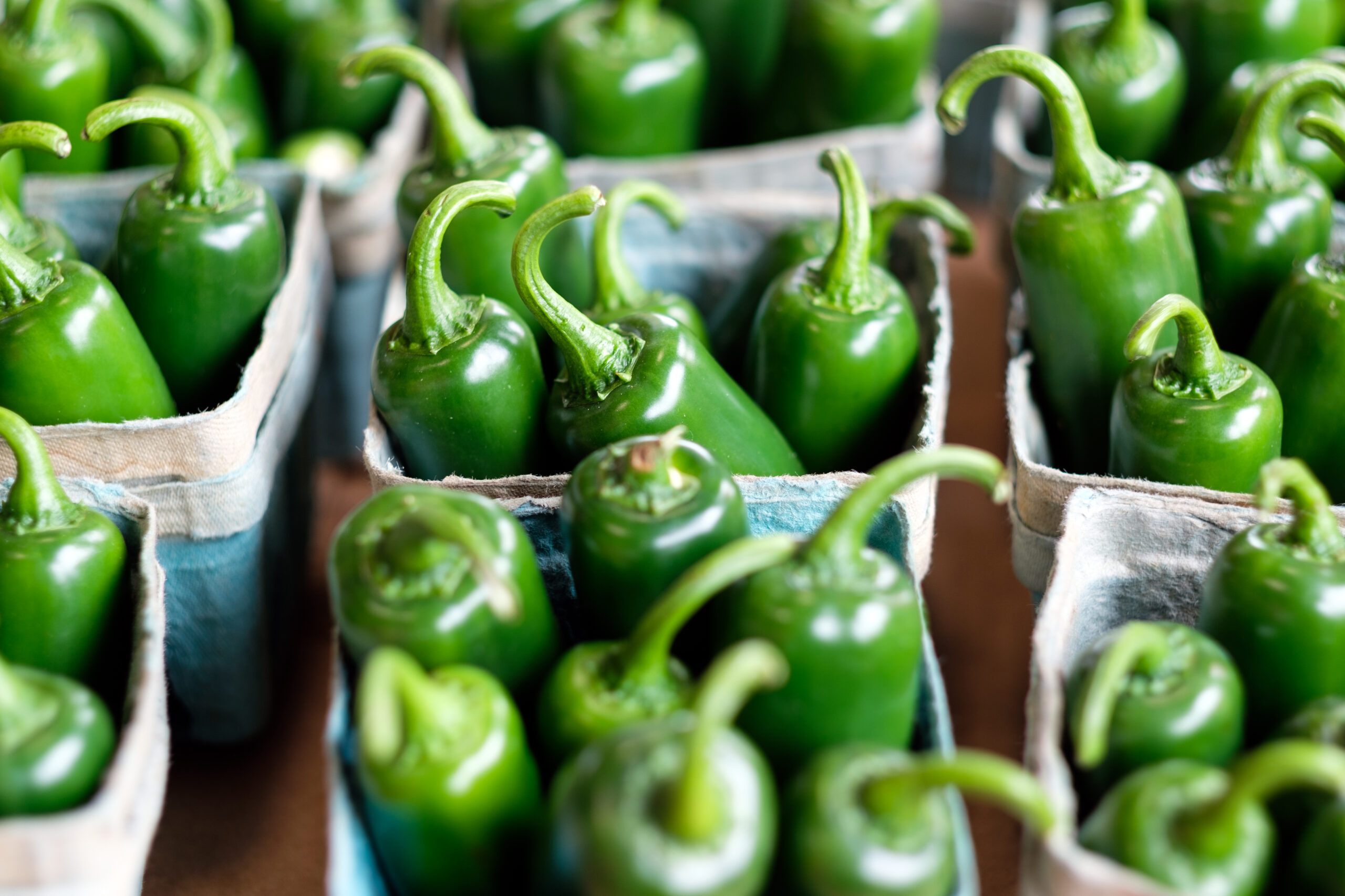 Jalapeno wallpapers, Fiery images, Spice-inspired visuals, High-definition graphics, 2560x1710 HD Desktop