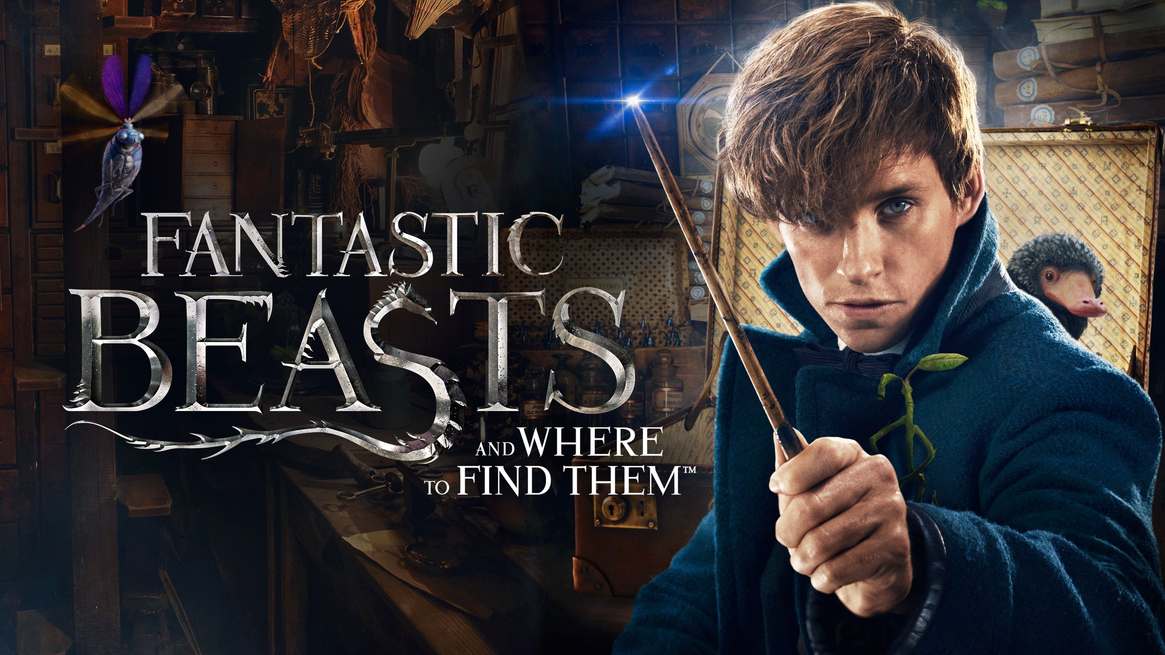 Fantastic Beasts, 4K Ultra HD, Wallpaper, Background image, 3840x2160 4K Desktop