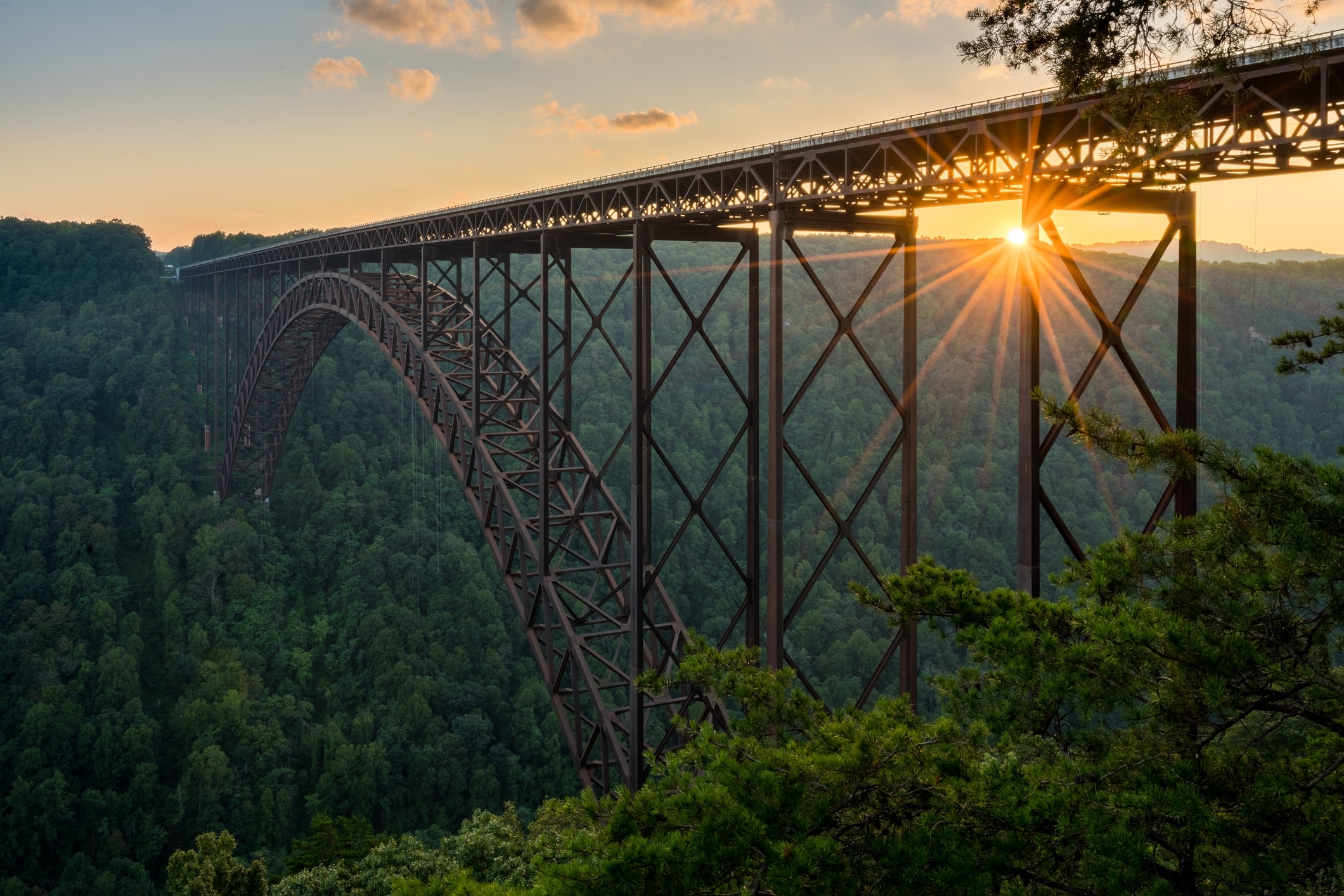 West Virginia: New River Gorge Bridge, The state's flower is the big laurel. 2120x1420 HD Background.
