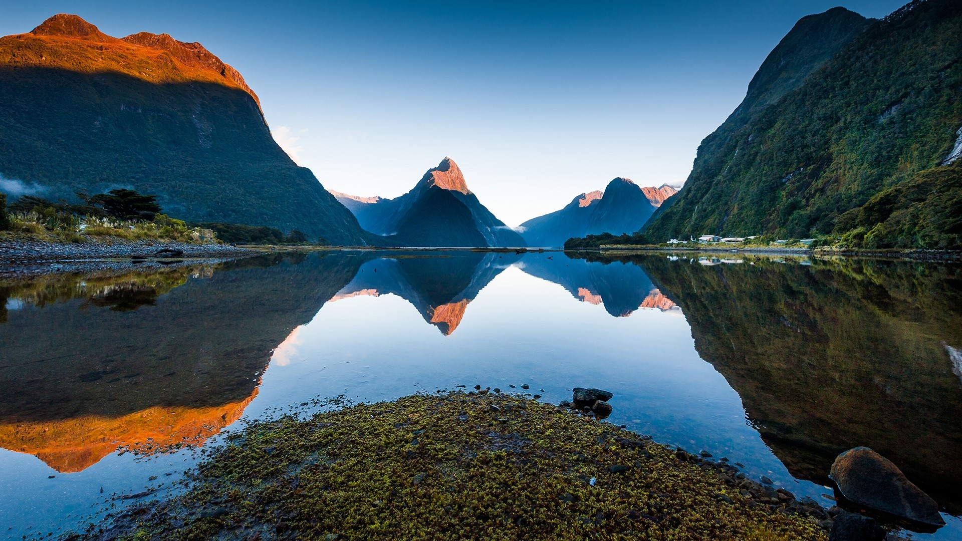 Fiordland National Park, Morning view of Milford Sound, Pristine beauty, Tranquil atmosphere, 1920x1080 Full HD Desktop