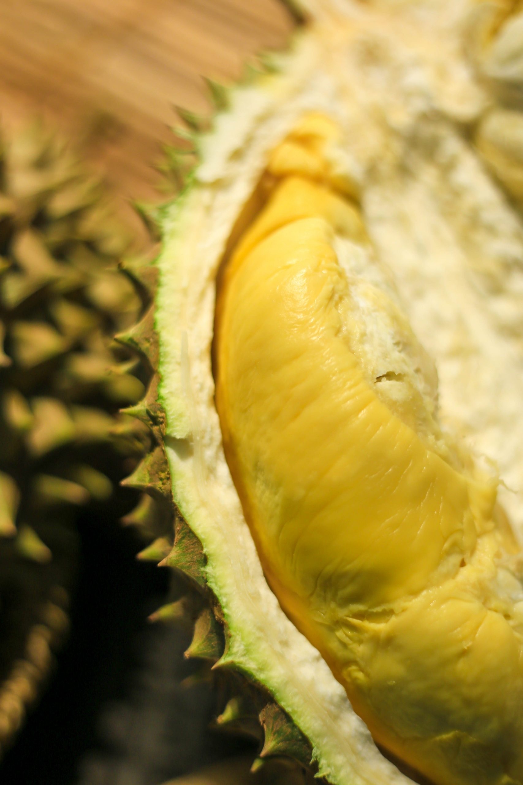 Durian: The smell evokes reactions from deep appreciation to intense disgust. 1710x2560 HD Background.