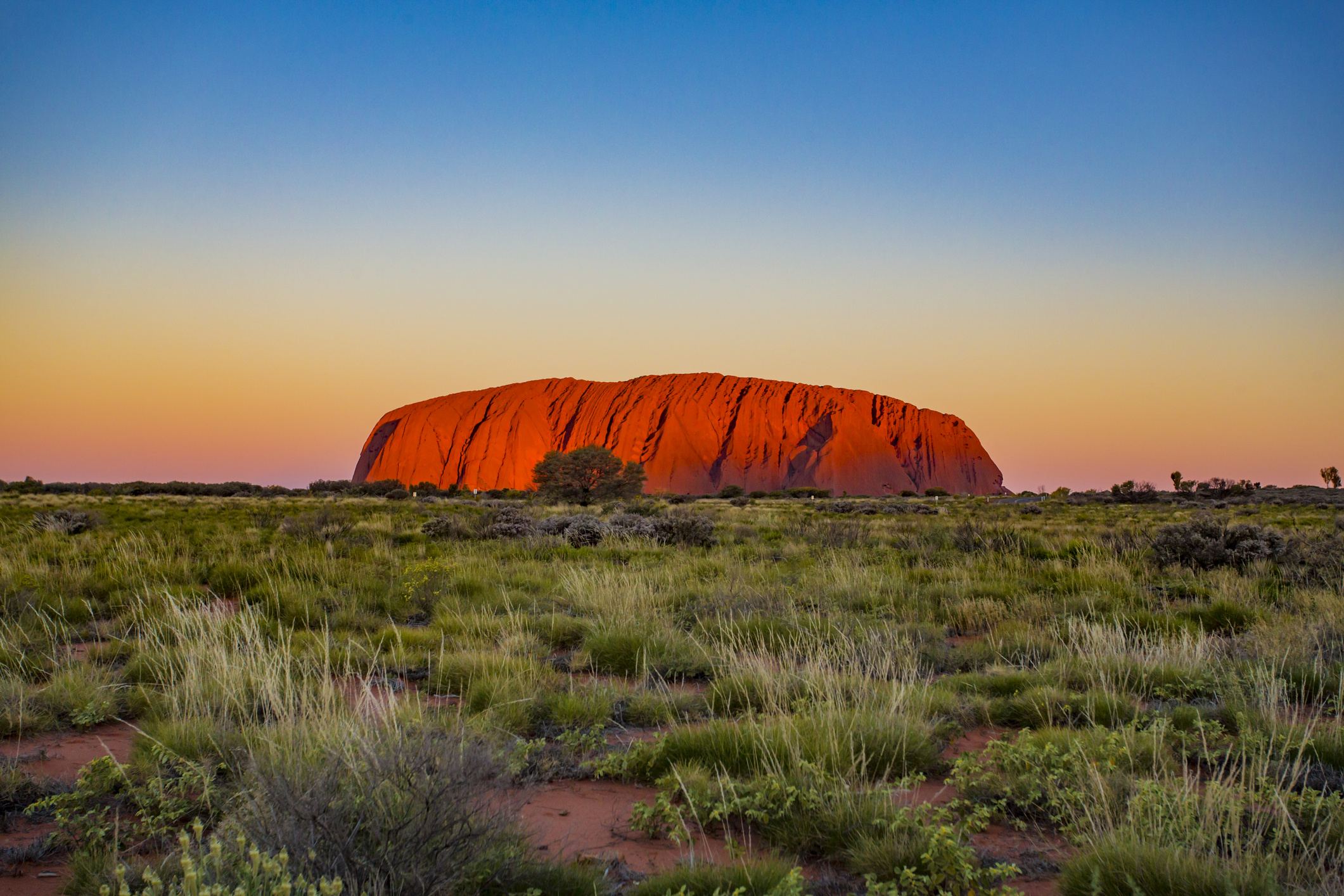 Uluru, Hundreds line up, Sacred, Australia, 2130x1420 HD Desktop