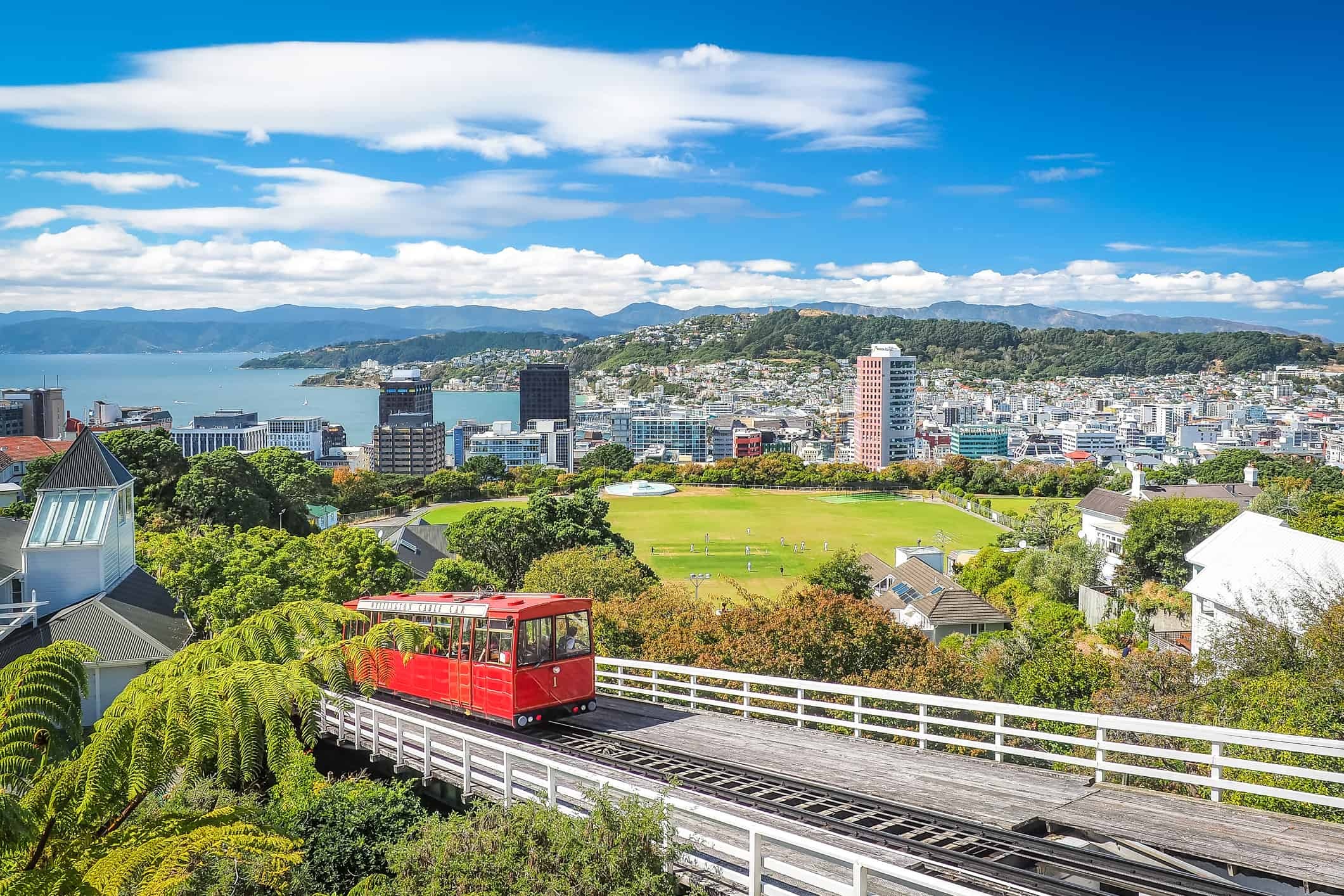 Wellington, Travels, New Zealand, Seniors, 2130x1420 HD Desktop