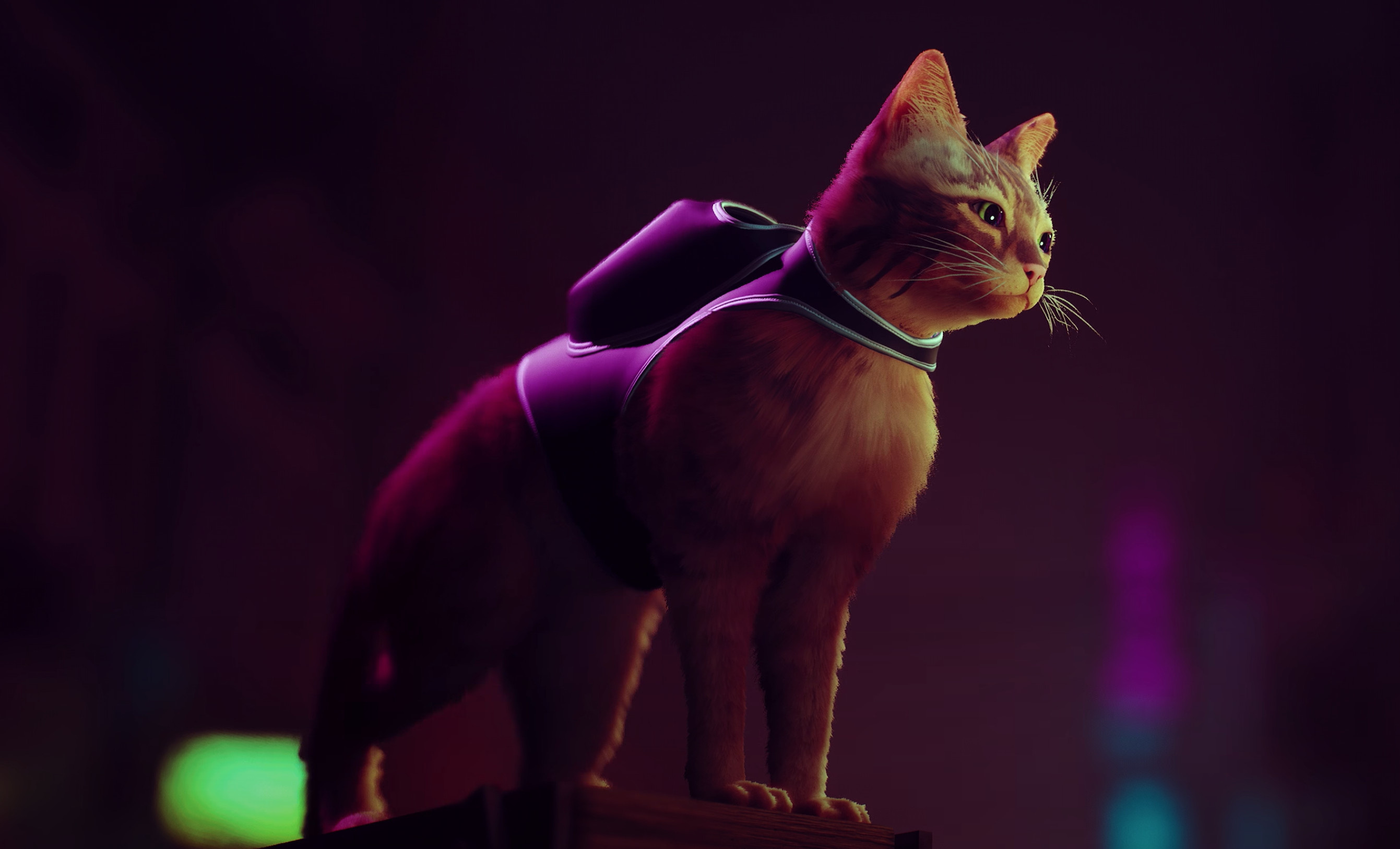 Stray (Game): Game character, A slim orange, striped cat, A stray in a neon-lit, underground city. 2690x1630 HD Wallpaper.