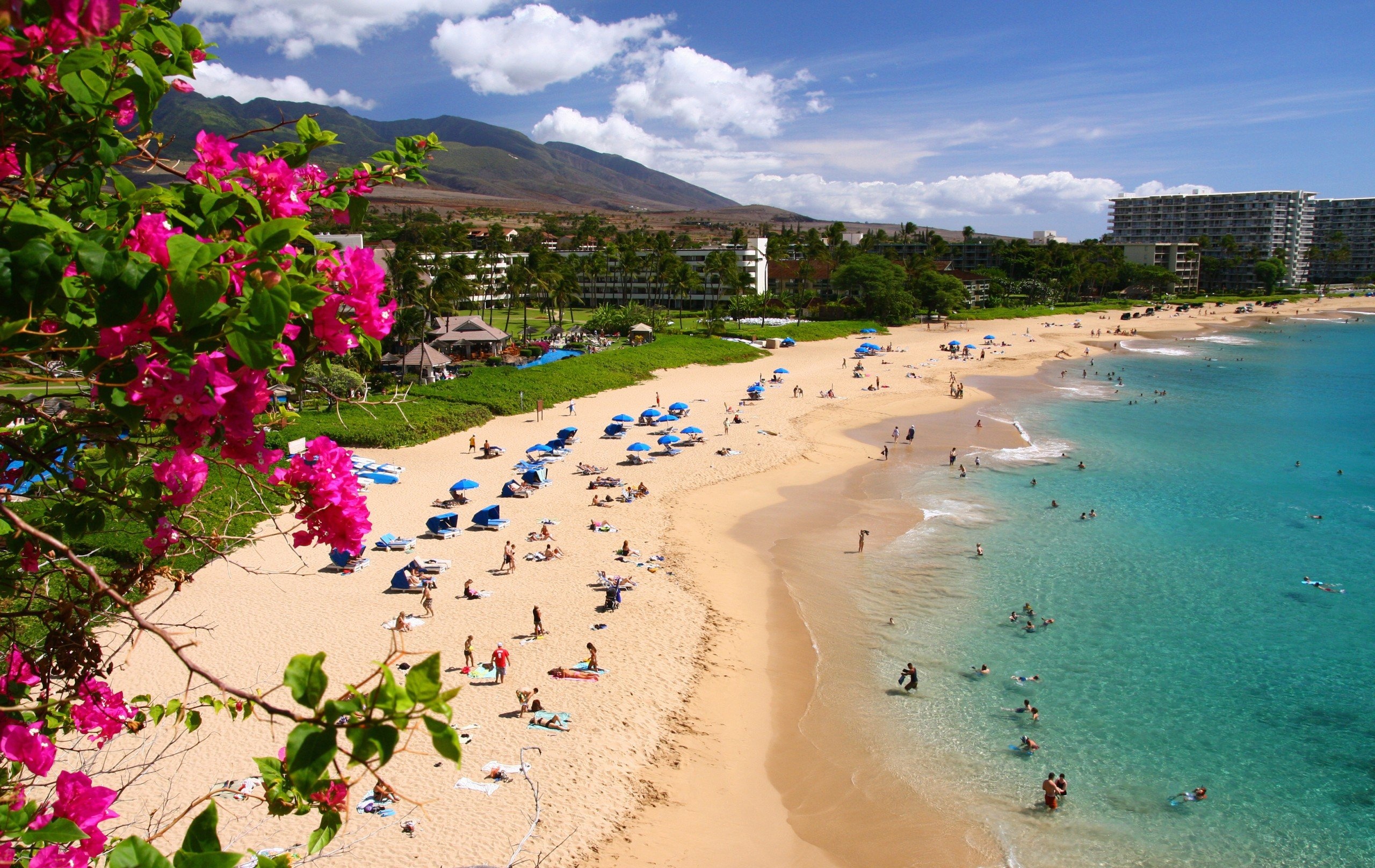 Hawaiian Beaches, Paradise found, Tropical dream, Coastal bliss, 2560x1620 HD Desktop