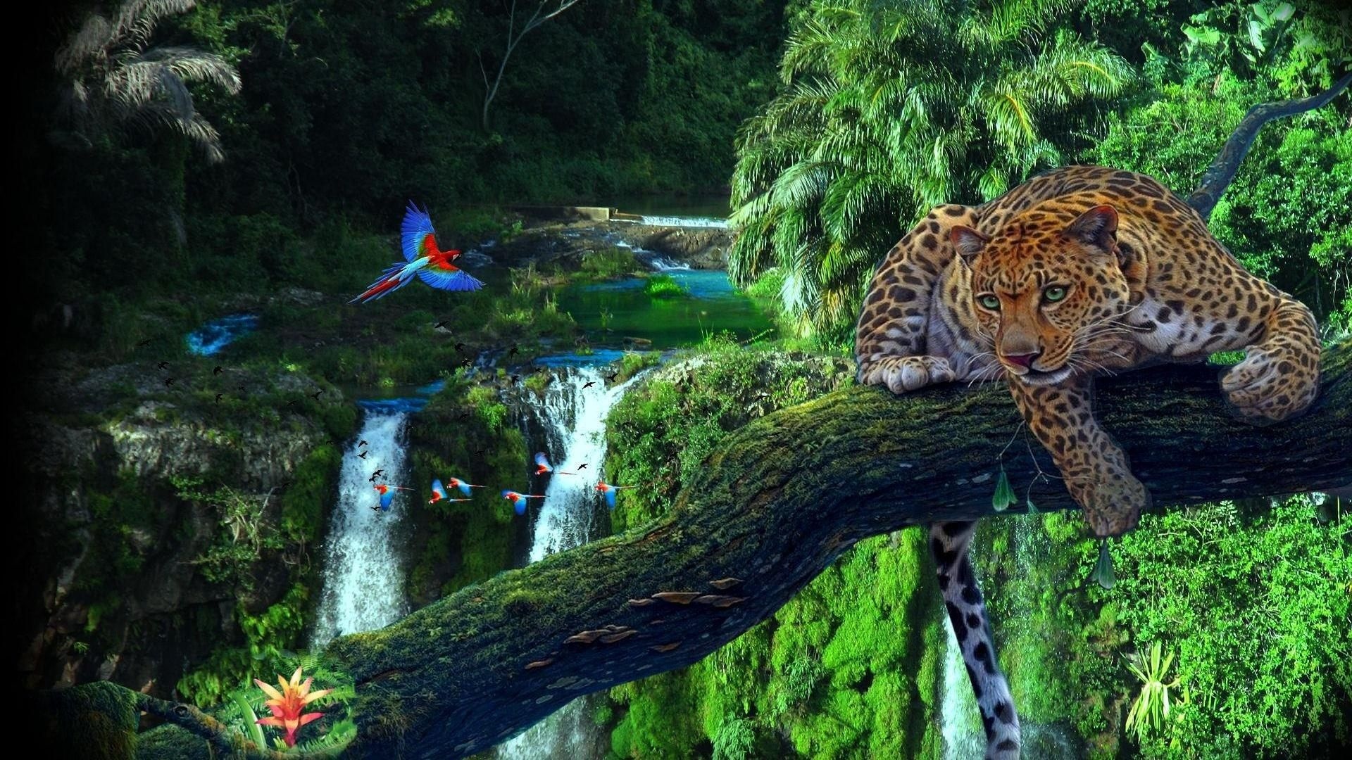 Jungle Animal, Rainforest wildlife, Serene rainforest backgrounds, Nature's tranquility, 1920x1080 Full HD Desktop