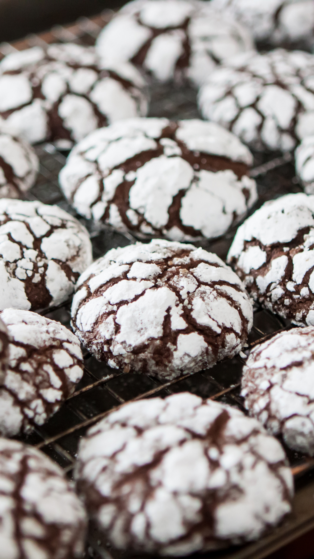 Biscuit: Chocolate earthquake cookies, rolled in powdered sugar. 1080x1920 Full HD Background.