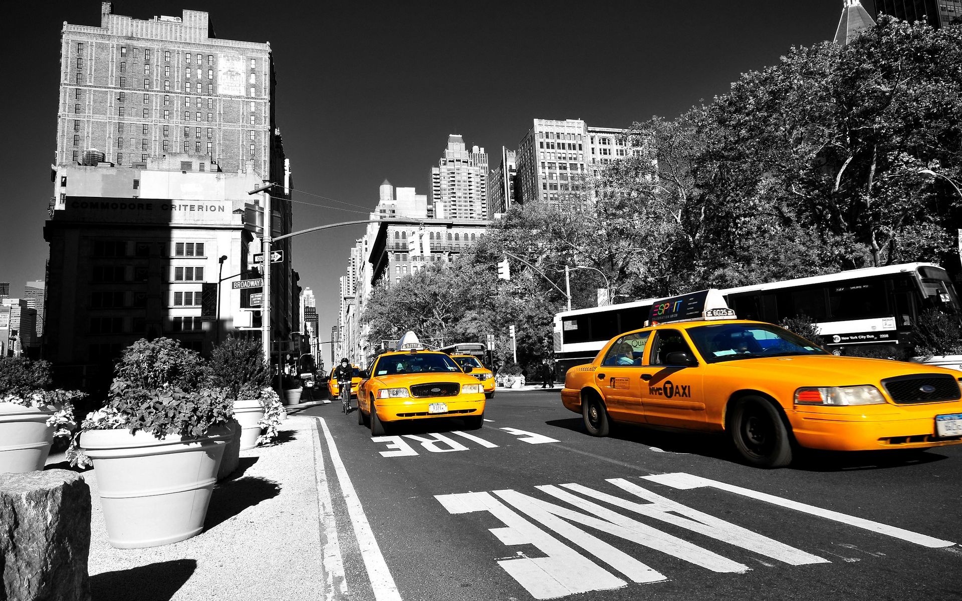 Taxi: Yellow cabs, Must have a medallion affixed to them, New York City. 1920x1200 HD Wallpaper.