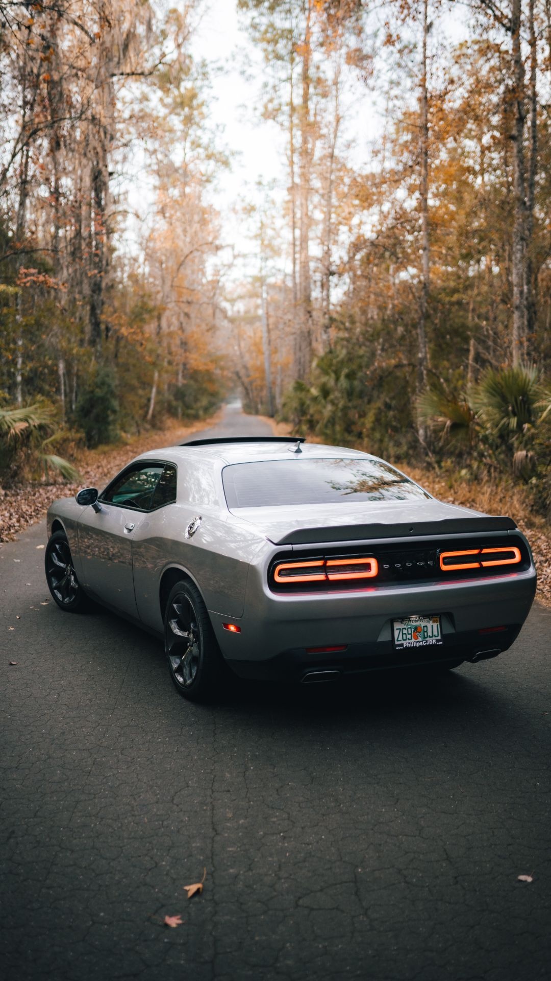 Dodge, Challenger wallpapers, 1080x1920 Full HD Phone