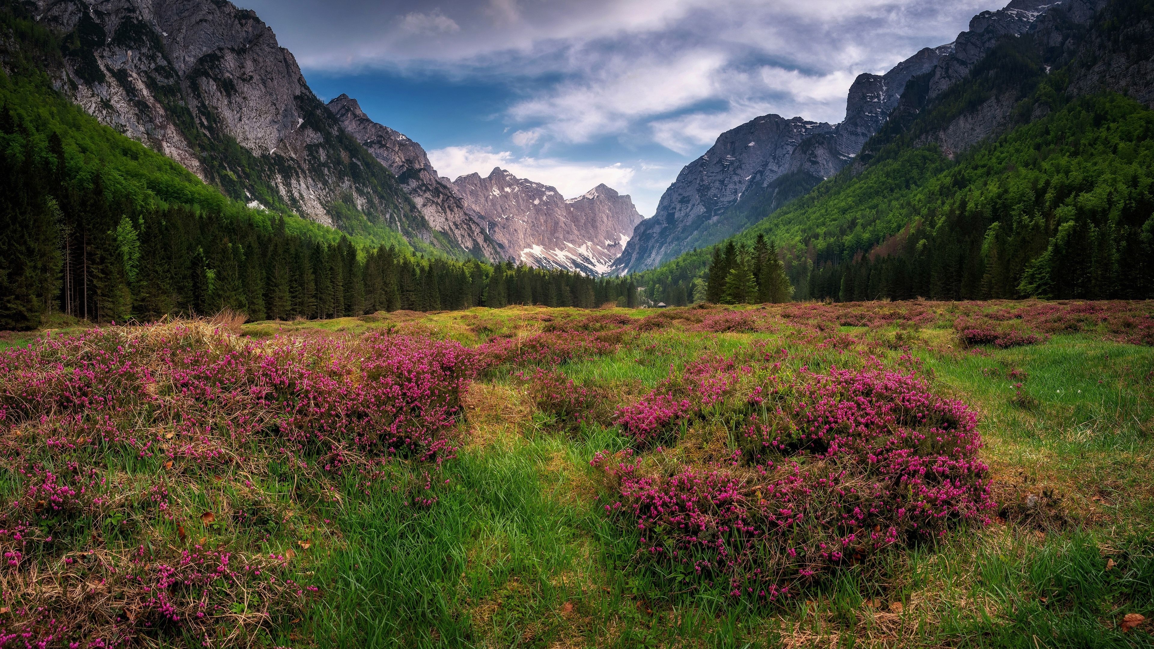 Wildflowers, Mountain valley, Wallpapers, Travel, 3840x2160 4K Desktop