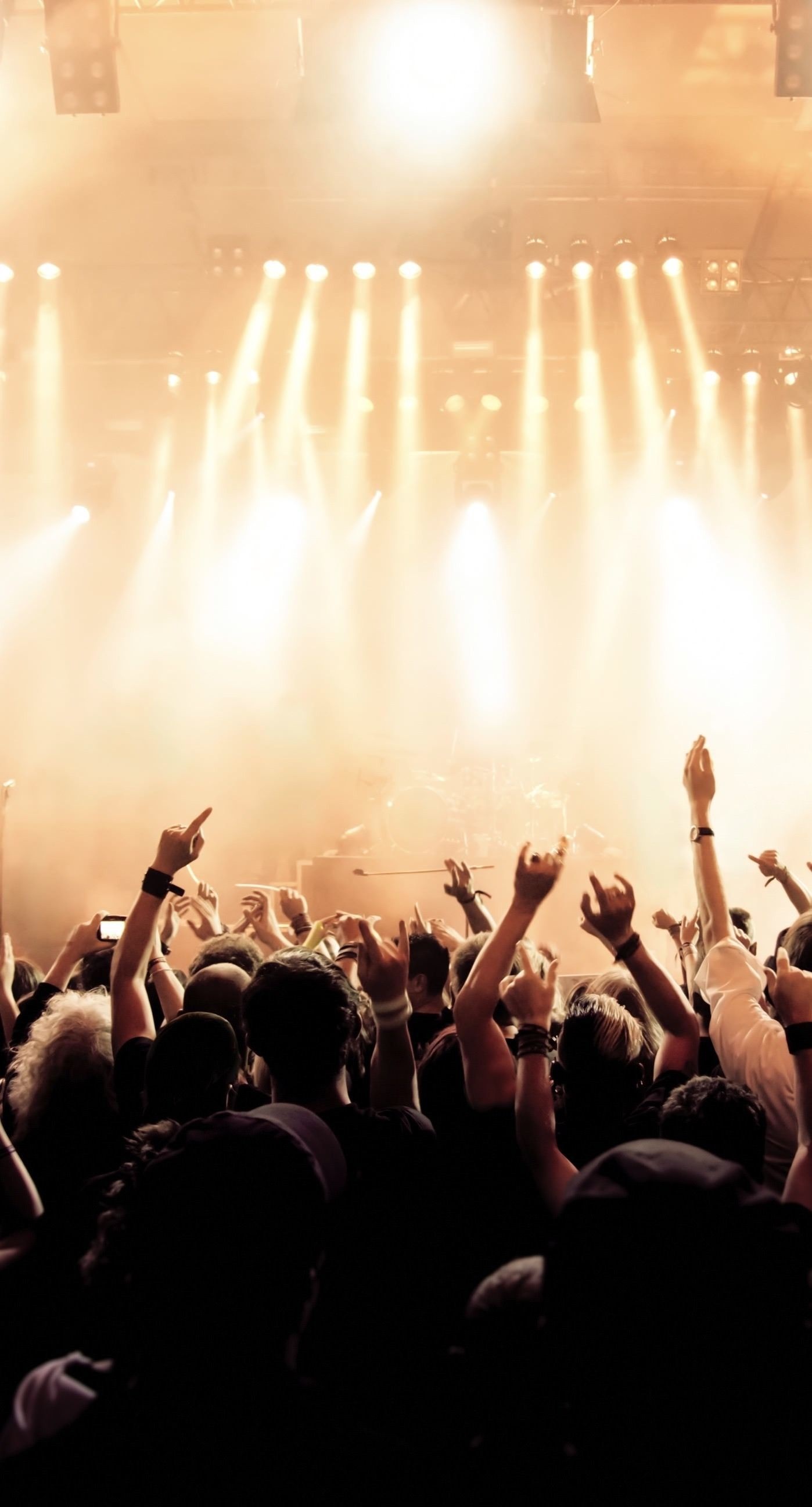 Concert: Crowded music hall, People waving hands, Light effects. 1400x2600 HD Wallpaper.