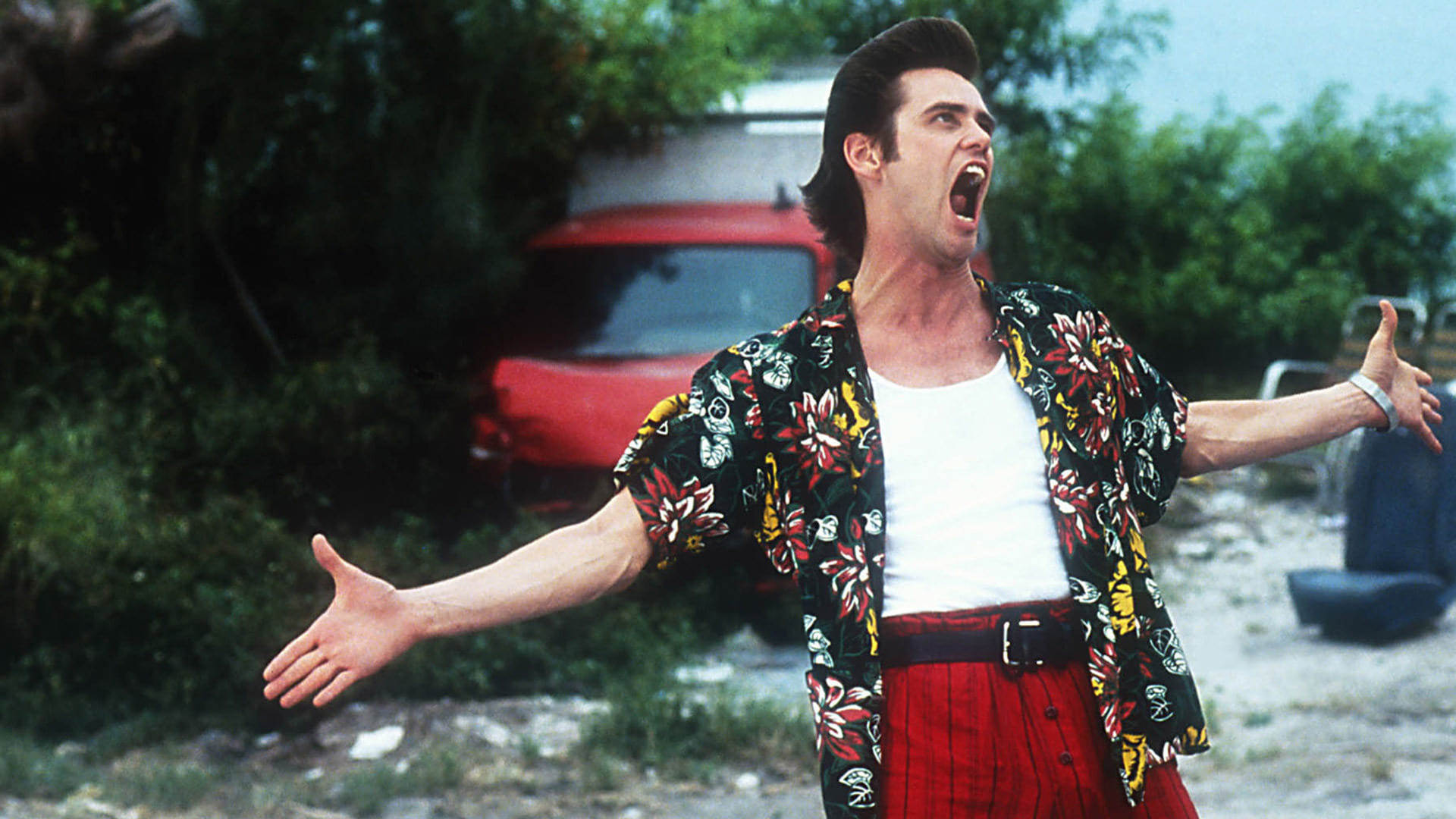 Ace Ventura: Carrey's performance led to the film having a cult following among male adolescents. 1920x1080 Full HD Background.