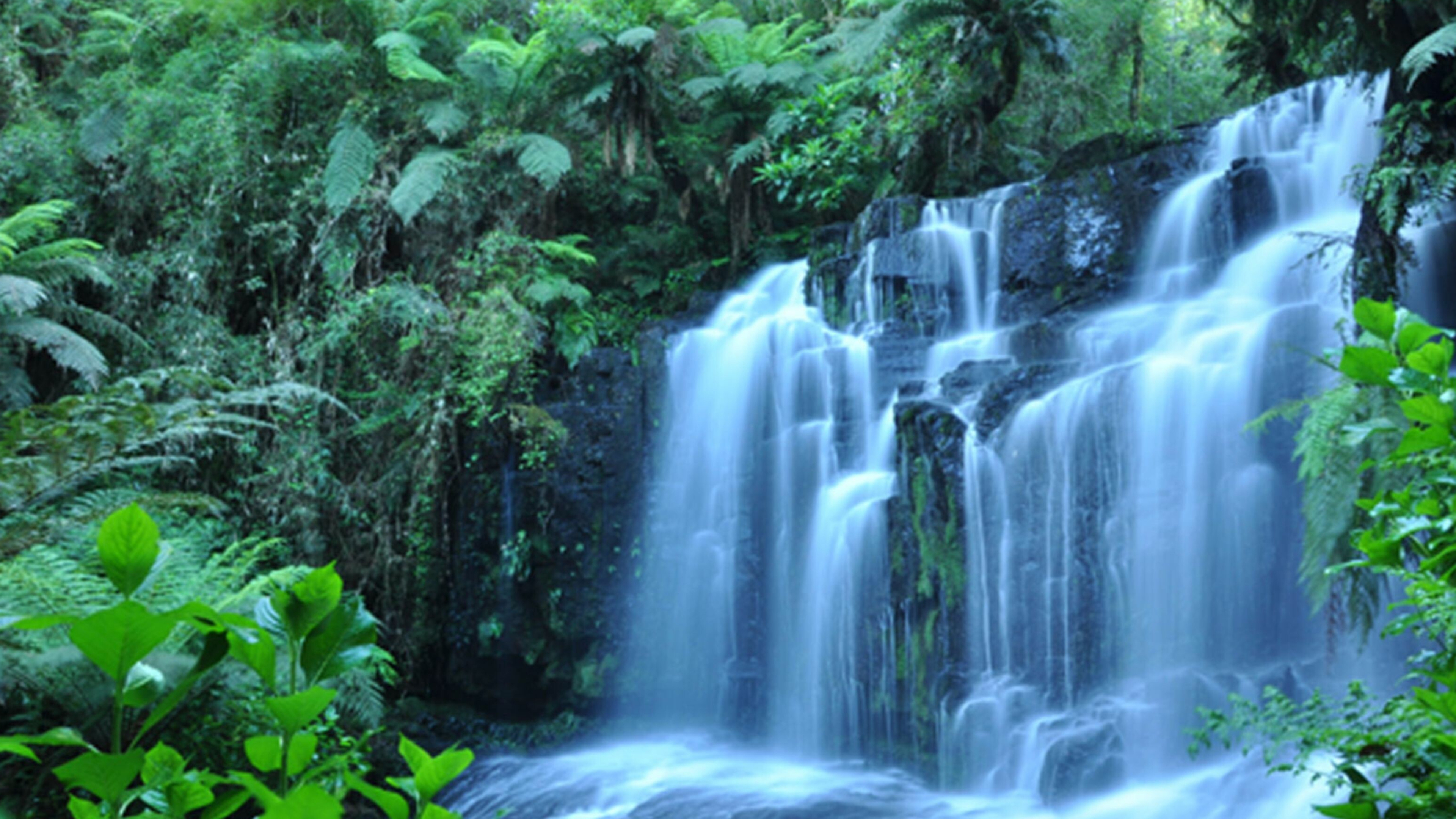 Rainforest: Tropics, Jungle, Waterfall, Natural environment. 3840x2160 4K Background.