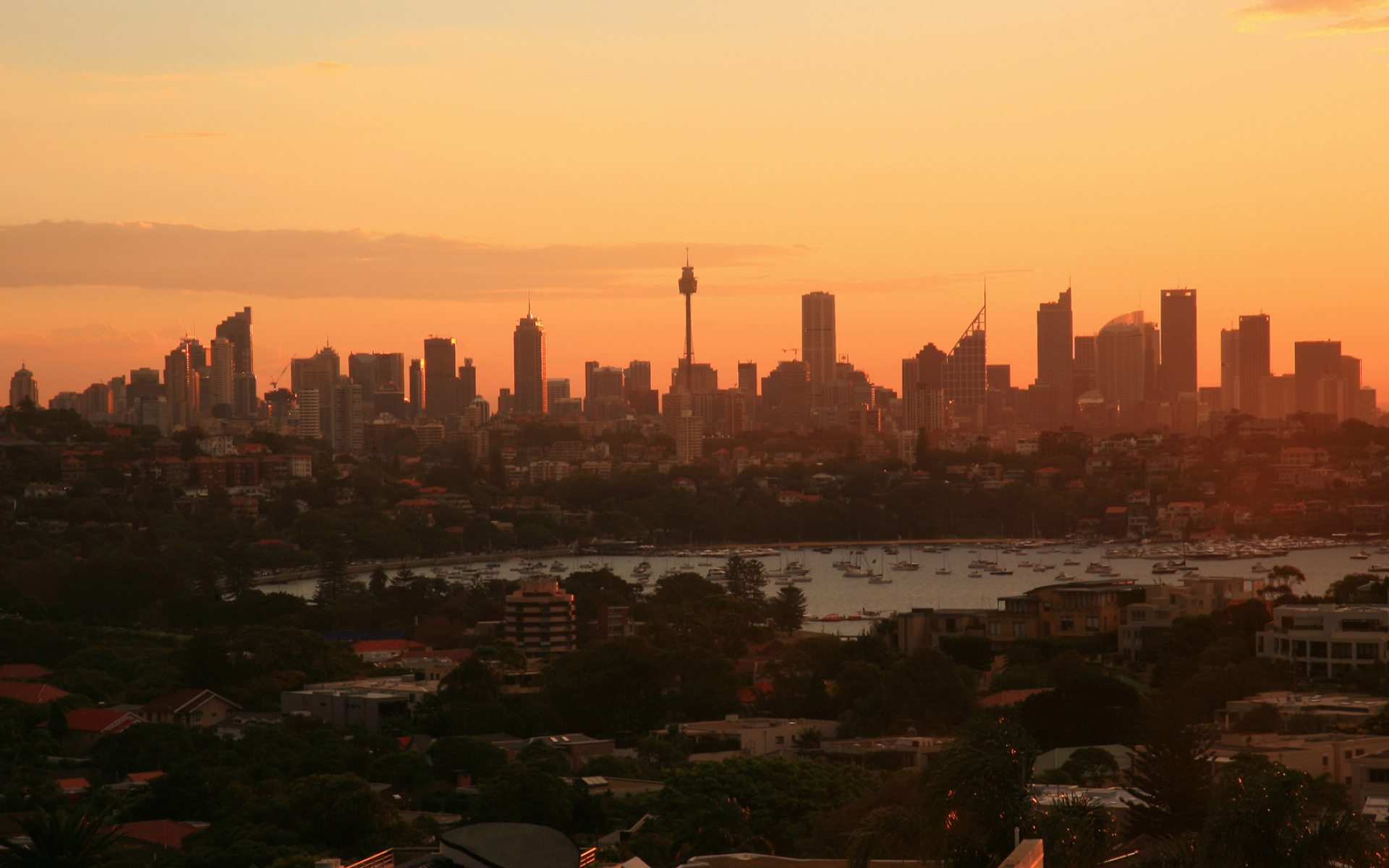 Sydney: The most populous city in Australia and Oceania. 1920x1200 HD Background.