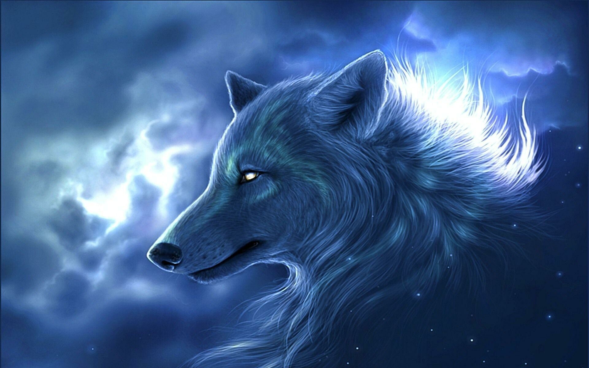 Wolf: Wolves howl to assemble the pack usually before and after hunts, to pass on an alarm, particularly at a den site, to locate each other during a storm, while crossing unfamiliar territory, and to communicate across great distances. 1920x1200 HD Background.