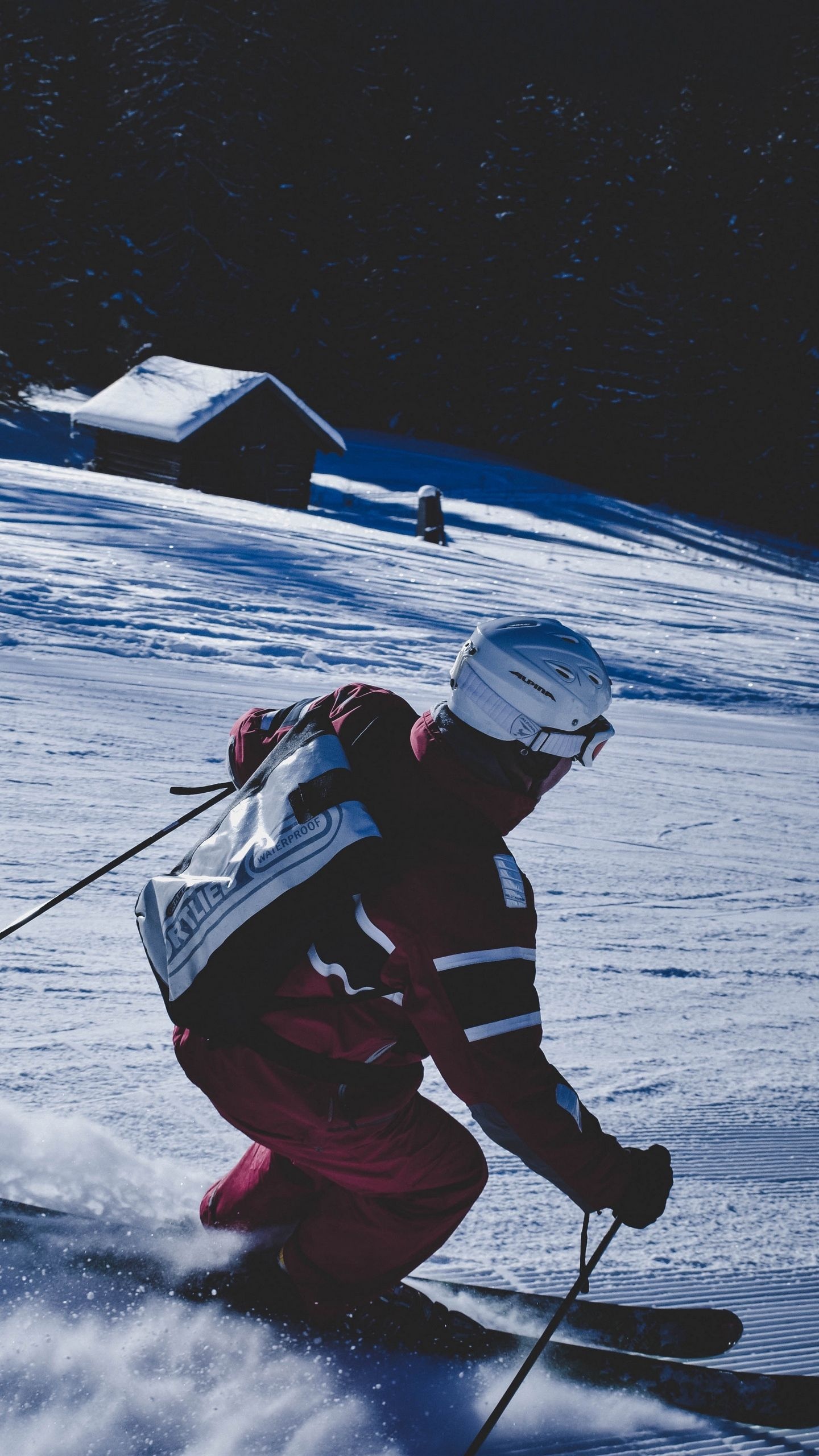 Alpine Skiing: Passing the distance on a snow track, Downhill between obstacles, Winter fun. 1440x2560 HD Wallpaper.
