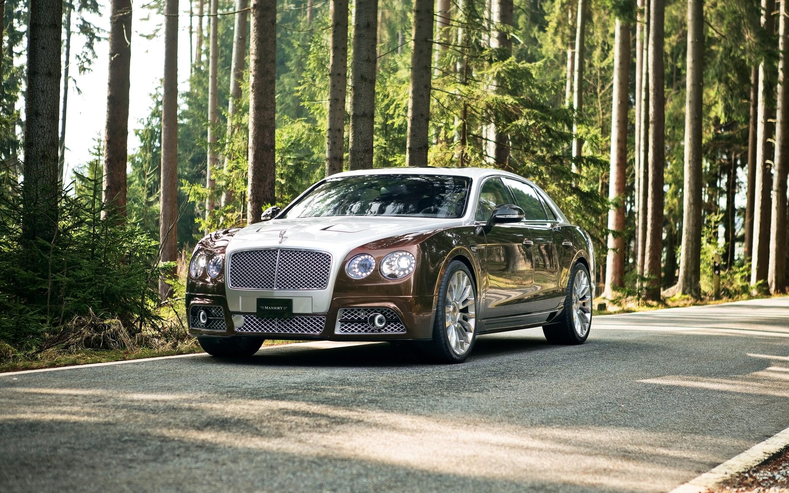 Bentley Flying Spur, Mansory masterpiece, Exquisite luxury, Performance refinement, 2560x1600 HD Desktop