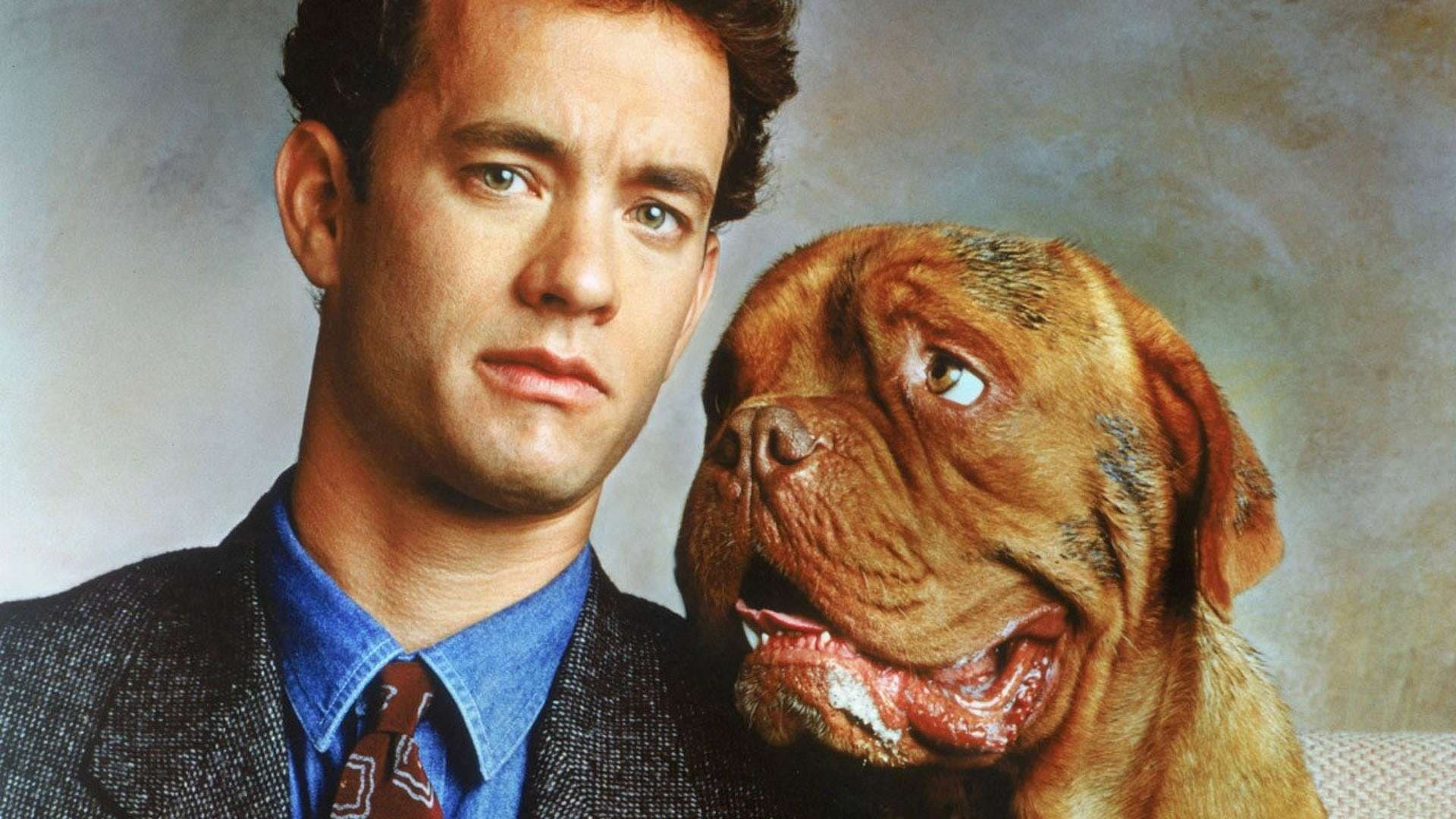 Turner and Hooch: An obsessively neat police detective, acquires a large and slobbery Dogue de Bordeaux. 1920x1080 Full HD Wallpaper.