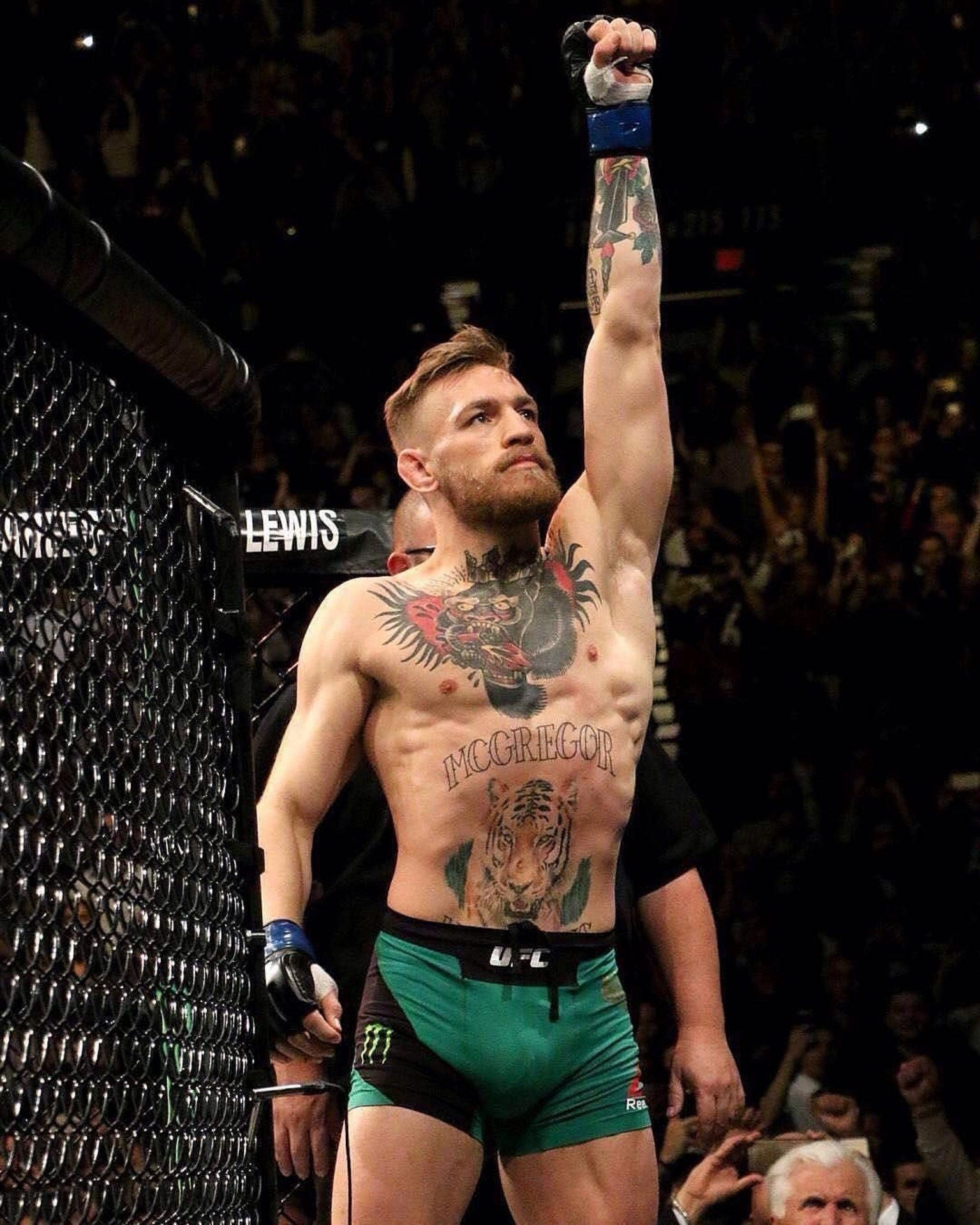 Mixed Martial Arts: Conor McGregor, Ultimate Fighting Championship featherweight and lightweight double-champion. 1540x1920 HD Wallpaper.