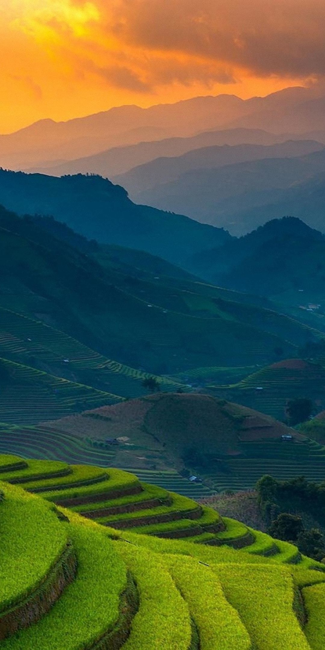 Rice farms landscape, Horizon mountains, Philippines wallpaper, 1080x2160 HD Handy