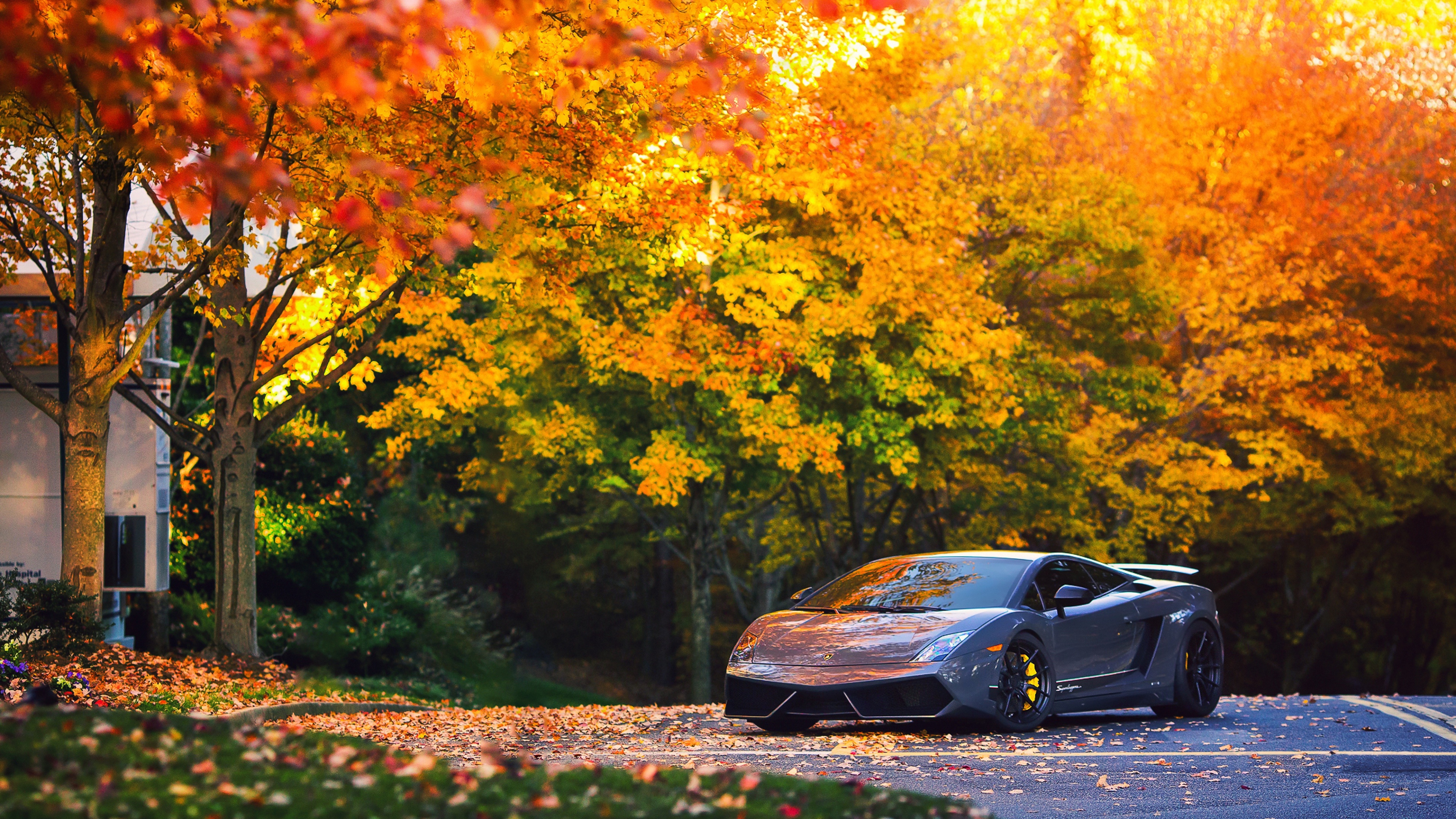 Autumn, Lamborghini Gallardo Wallpaper, 3840x2160 4K Desktop